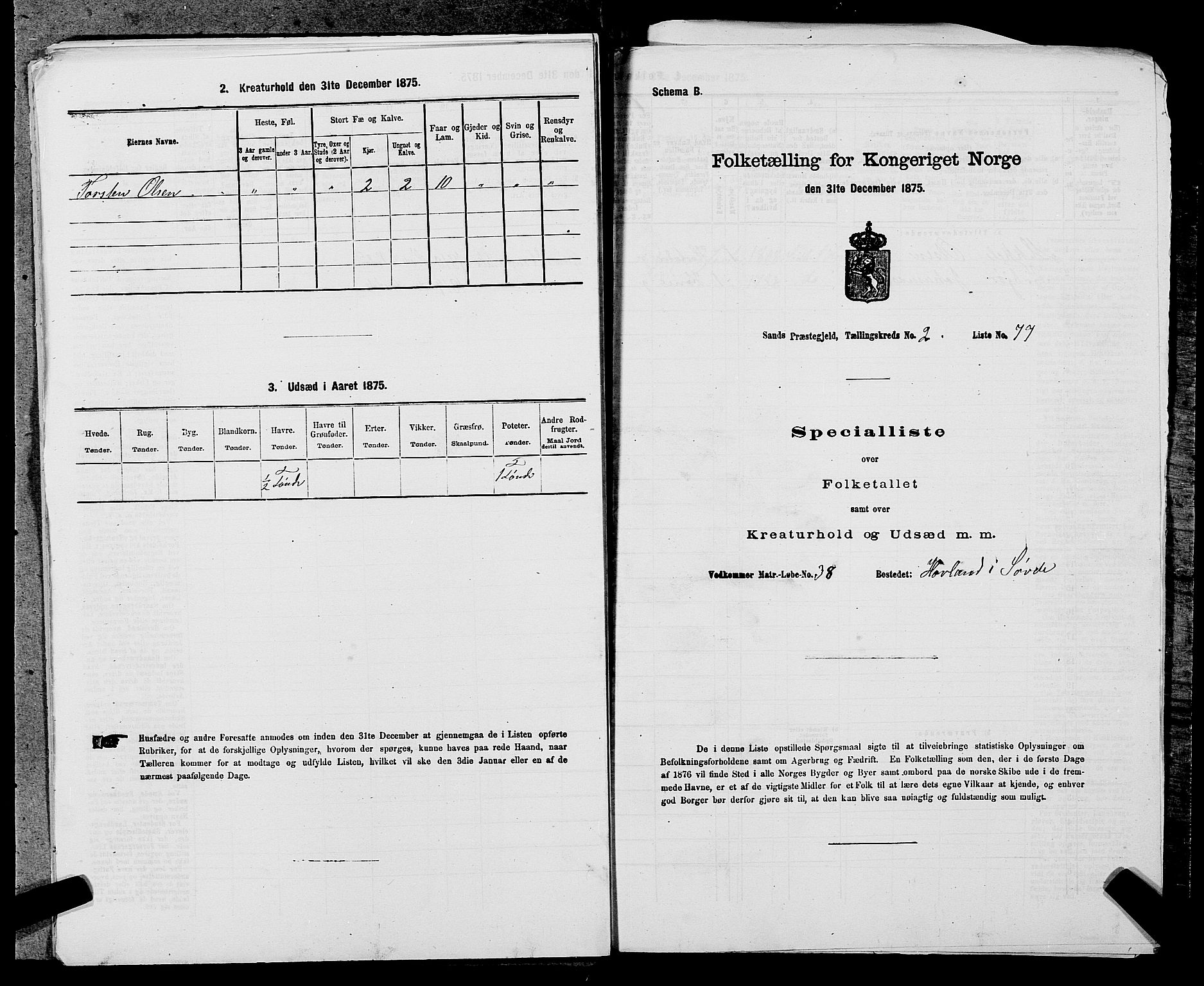 SAST, Folketelling 1875 for 1136P Sand prestegjeld, 1875, s. 1003