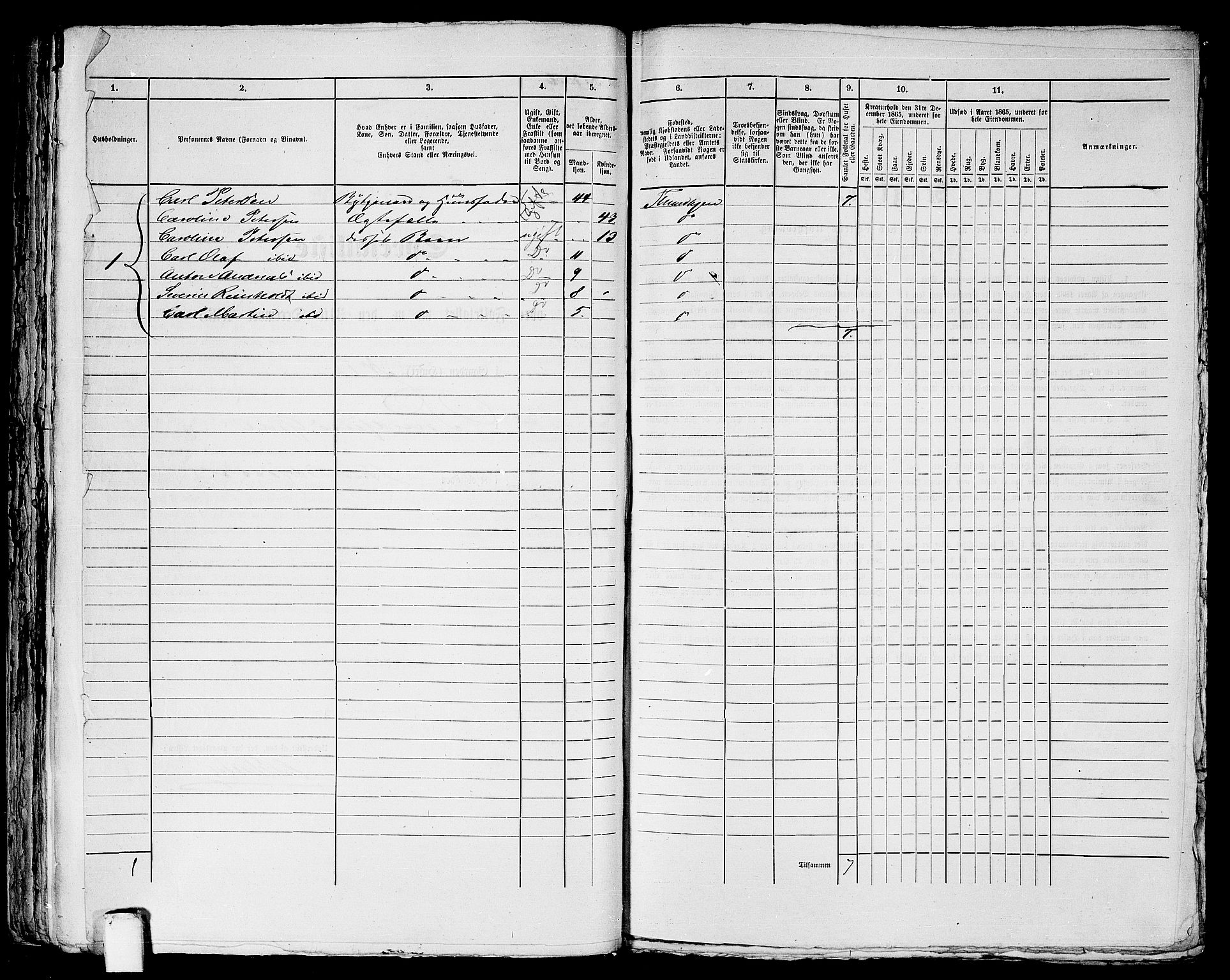 RA, Folketelling 1865 for 1601 Trondheim kjøpstad, 1865, s. 1161