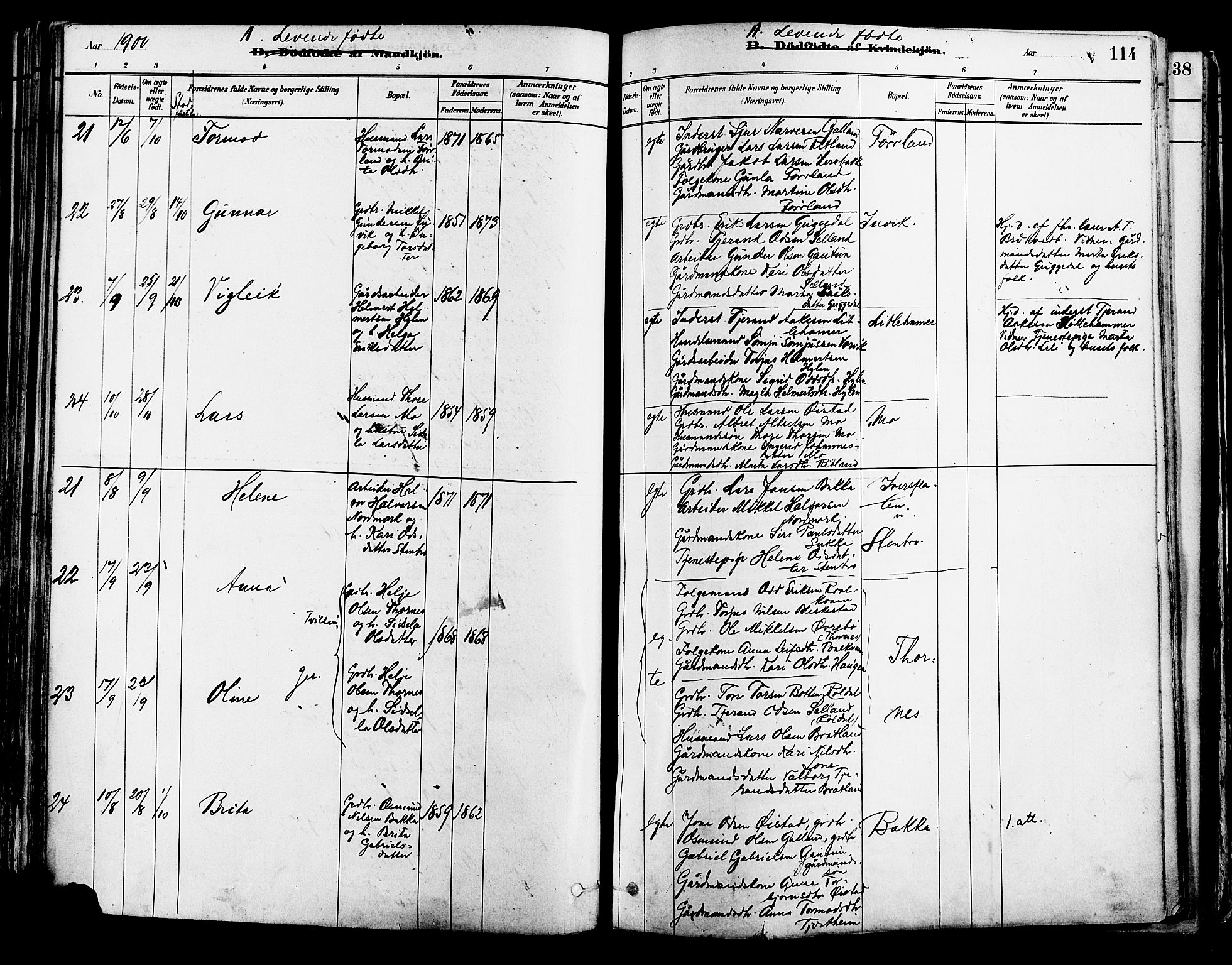 Suldal sokneprestkontor, AV/SAST-A-101845/01/IV/L0011: Ministerialbok nr. A 11, 1878-1900, s. 114