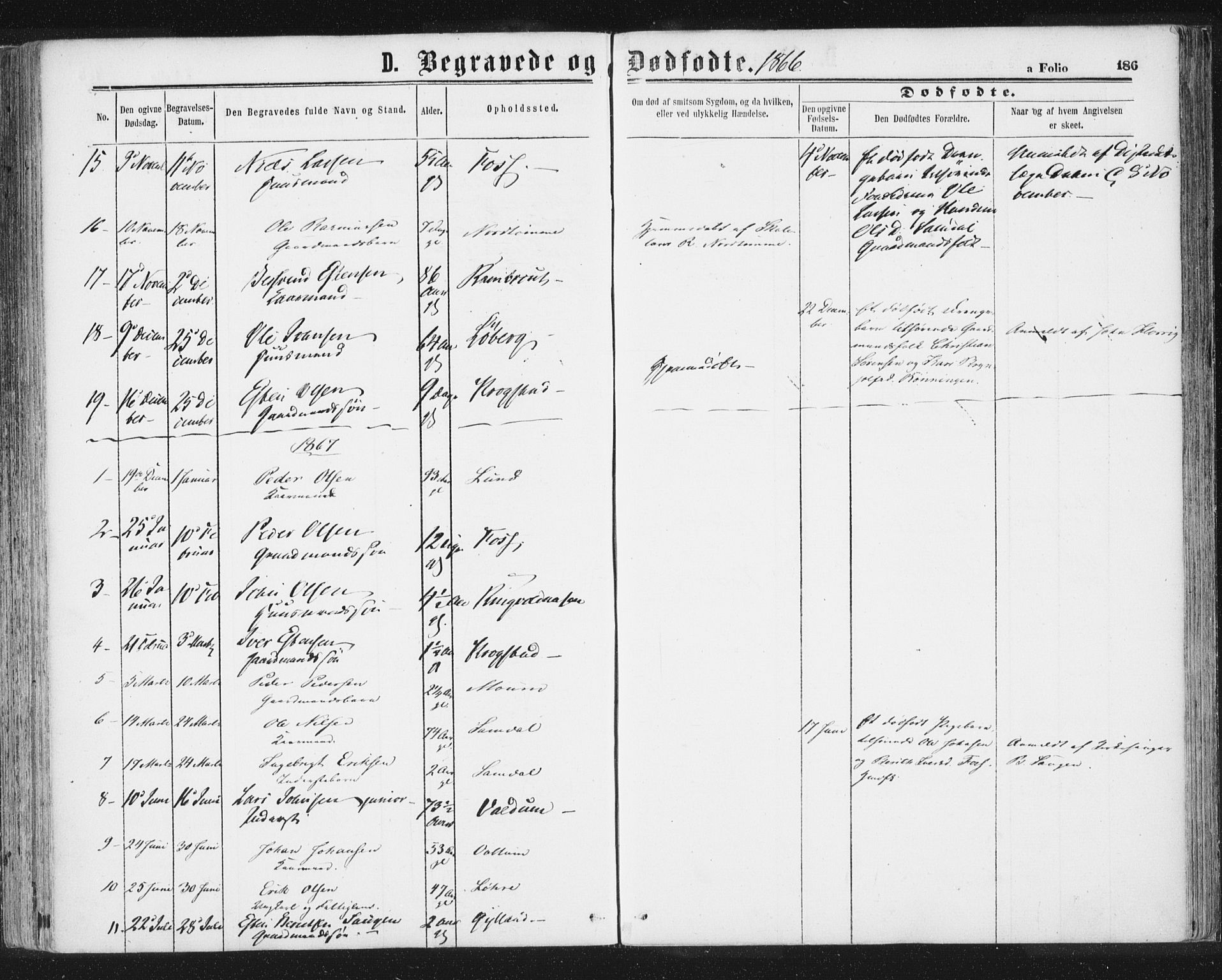 Ministerialprotokoller, klokkerbøker og fødselsregistre - Sør-Trøndelag, AV/SAT-A-1456/692/L1104: Ministerialbok nr. 692A04, 1862-1878, s. 186