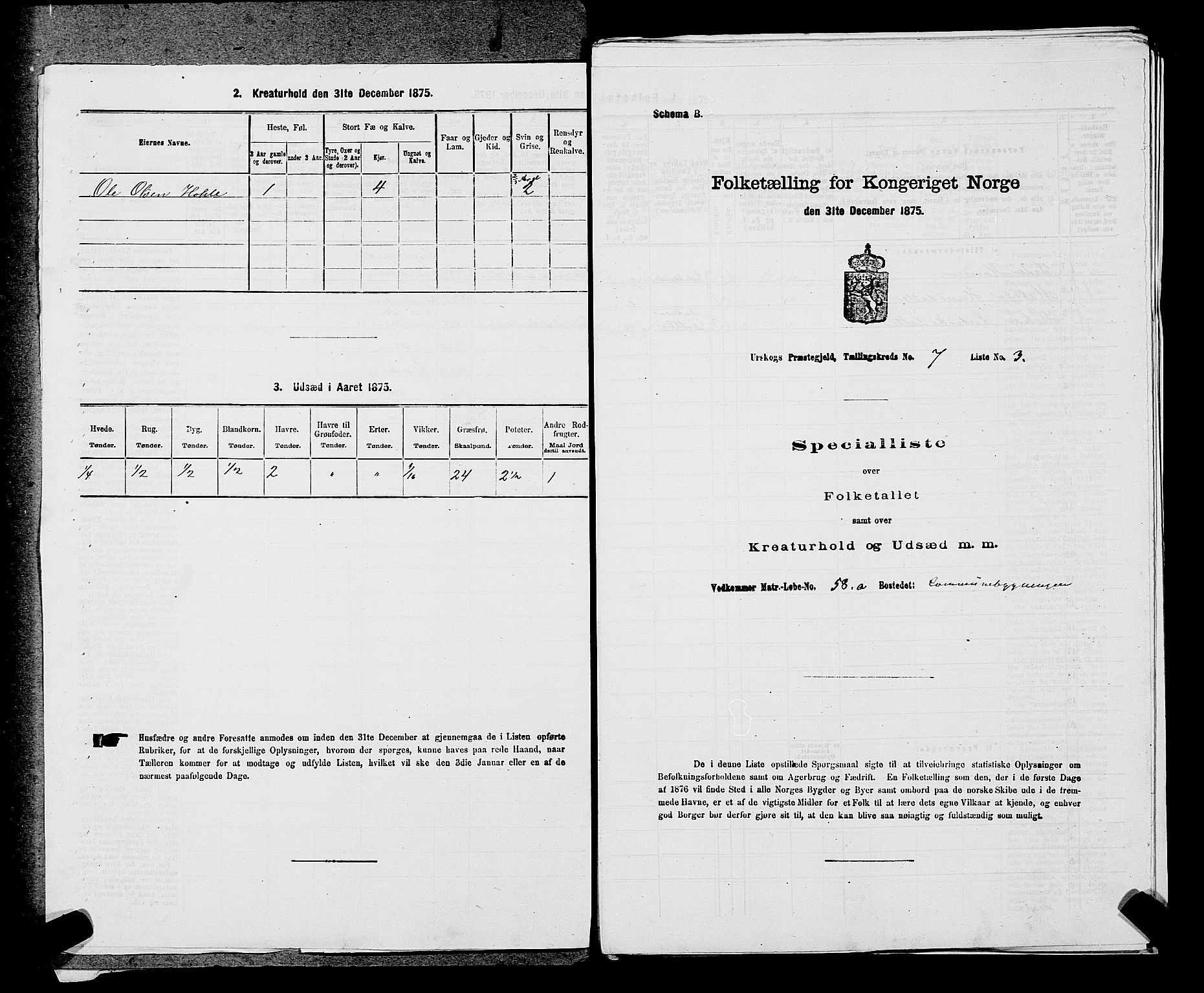 RA, Folketelling 1875 for 0224P Aurskog prestegjeld, 1875, s. 689