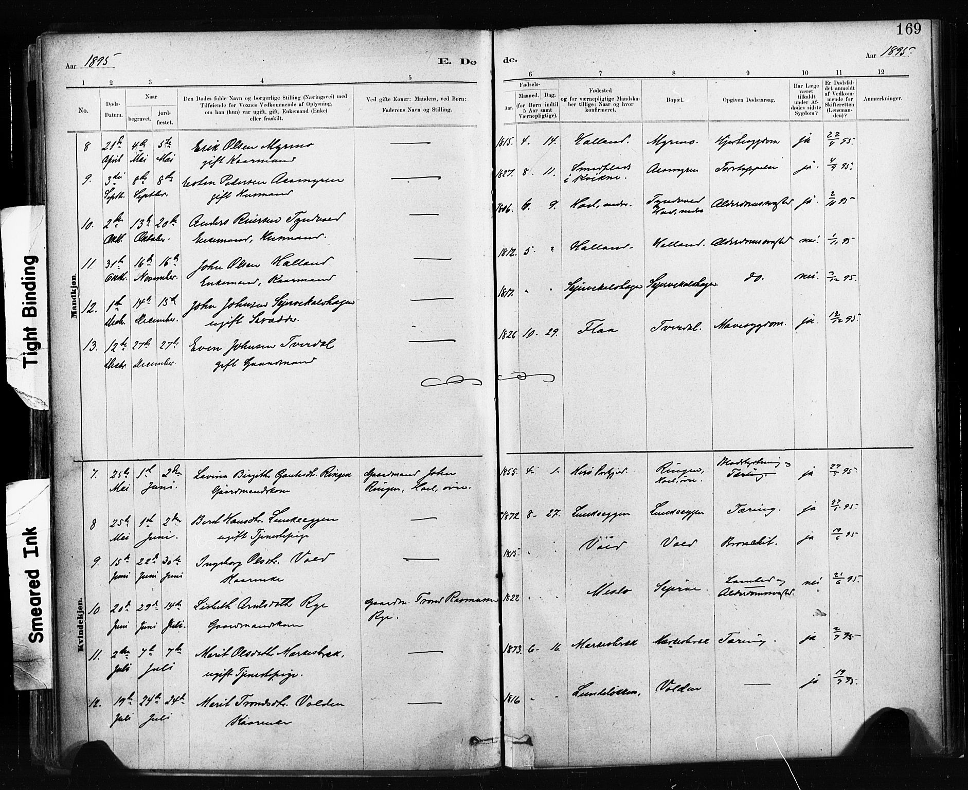 Ministerialprotokoller, klokkerbøker og fødselsregistre - Sør-Trøndelag, SAT/A-1456/674/L0871: Ministerialbok nr. 674A03, 1880-1896, s. 169