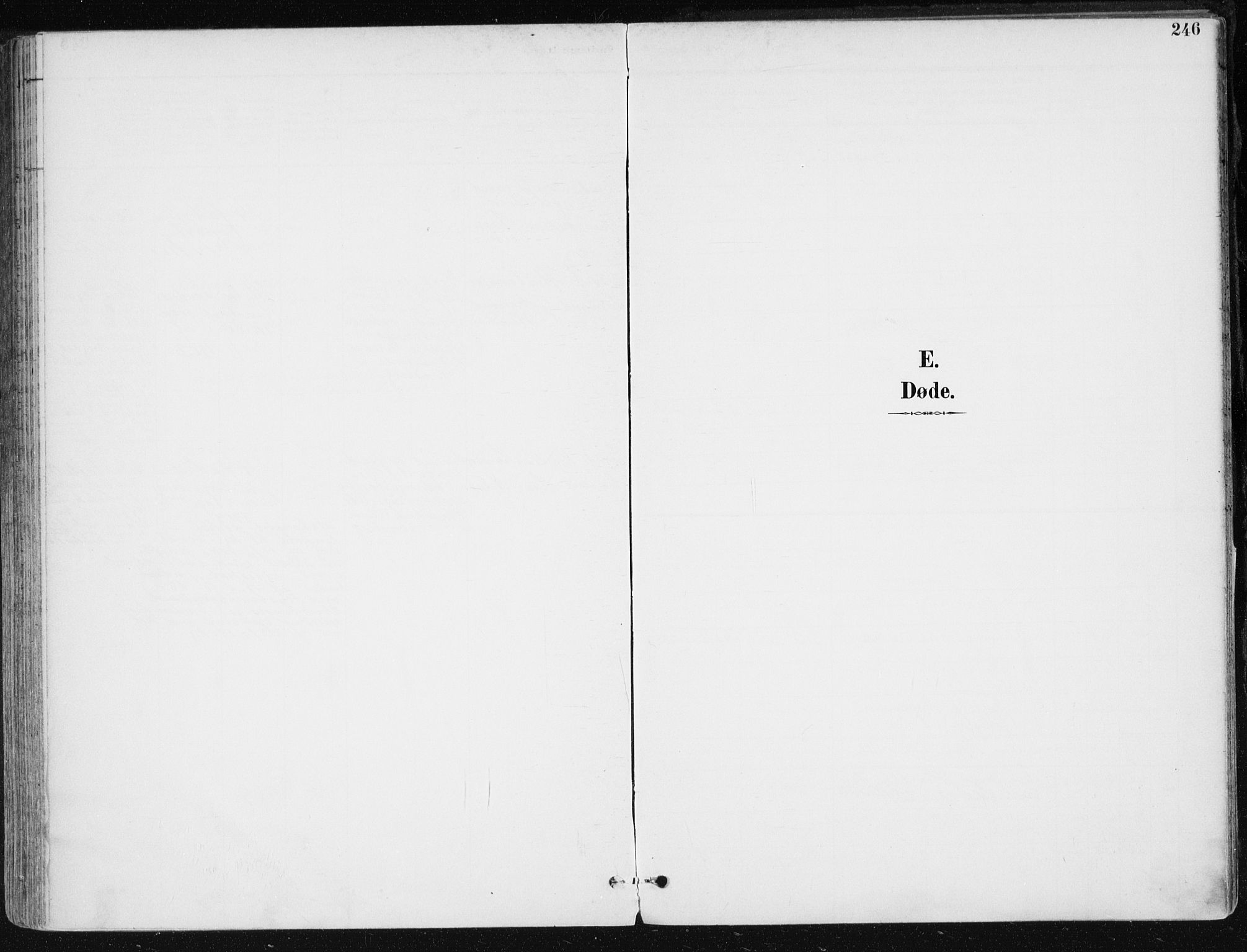 Sem kirkebøker, AV/SAKO-A-5/F/Fb/L0005: Ministerialbok nr. II 5, 1892-1904, s. 246