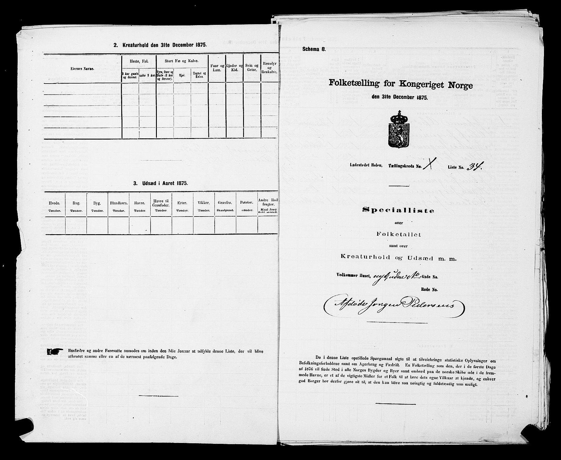 RA, Folketelling 1875 for 0204B Vestby prestegjeld, Hølen ladested, 1875, s. 5