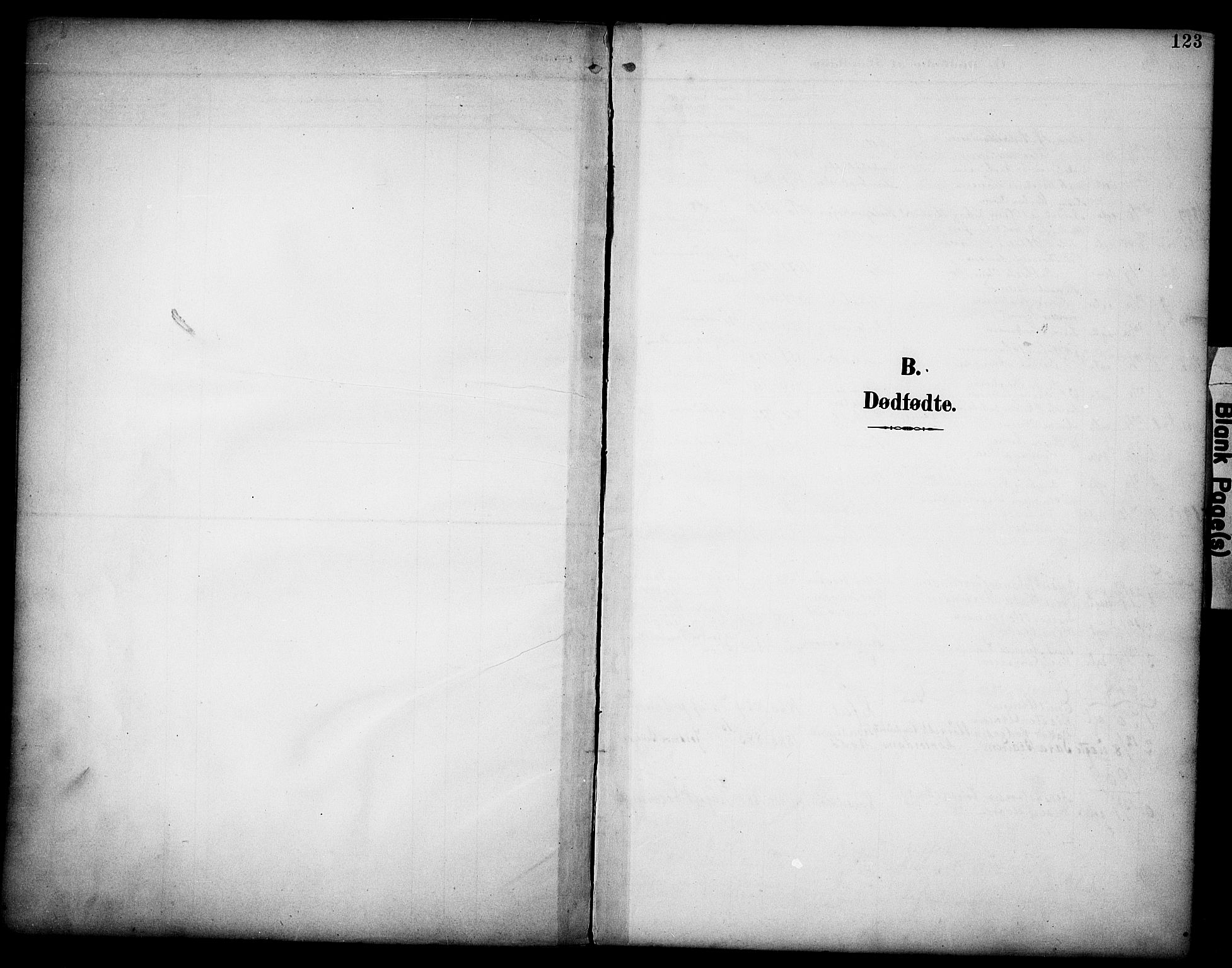 Grue prestekontor, AV/SAH-PREST-036/H/Ha/Haa/L0013: Ministerialbok nr. 13, 1898-1910, s. 123