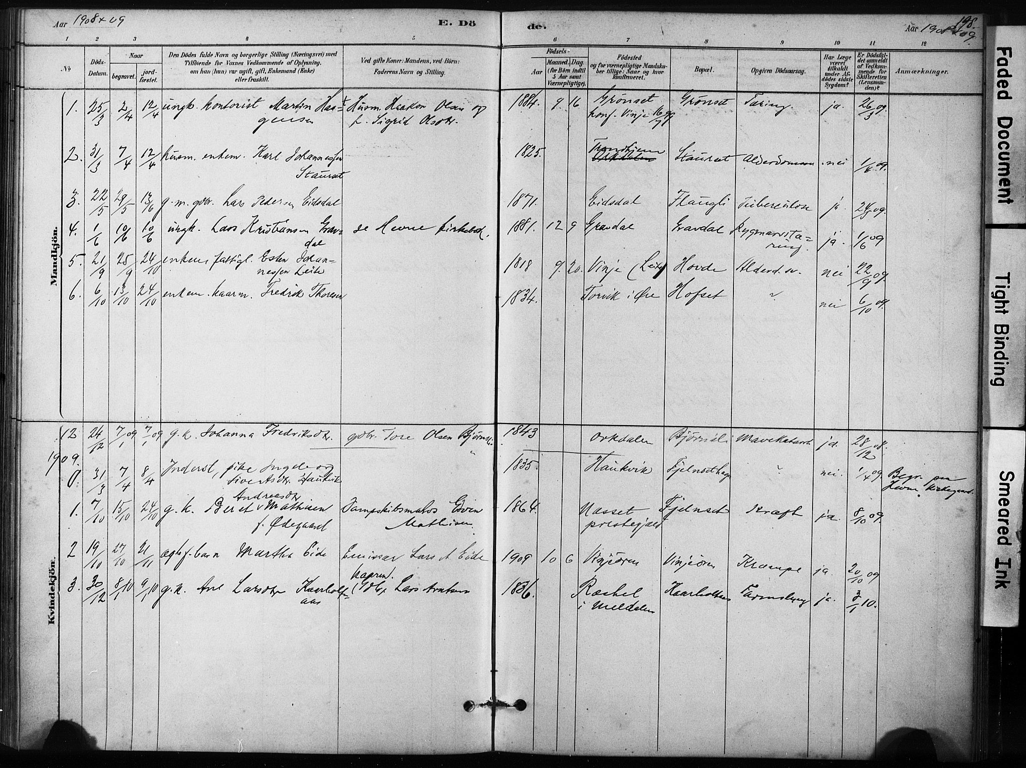 Ministerialprotokoller, klokkerbøker og fødselsregistre - Sør-Trøndelag, AV/SAT-A-1456/631/L0512: Ministerialbok nr. 631A01, 1879-1912, s. 198