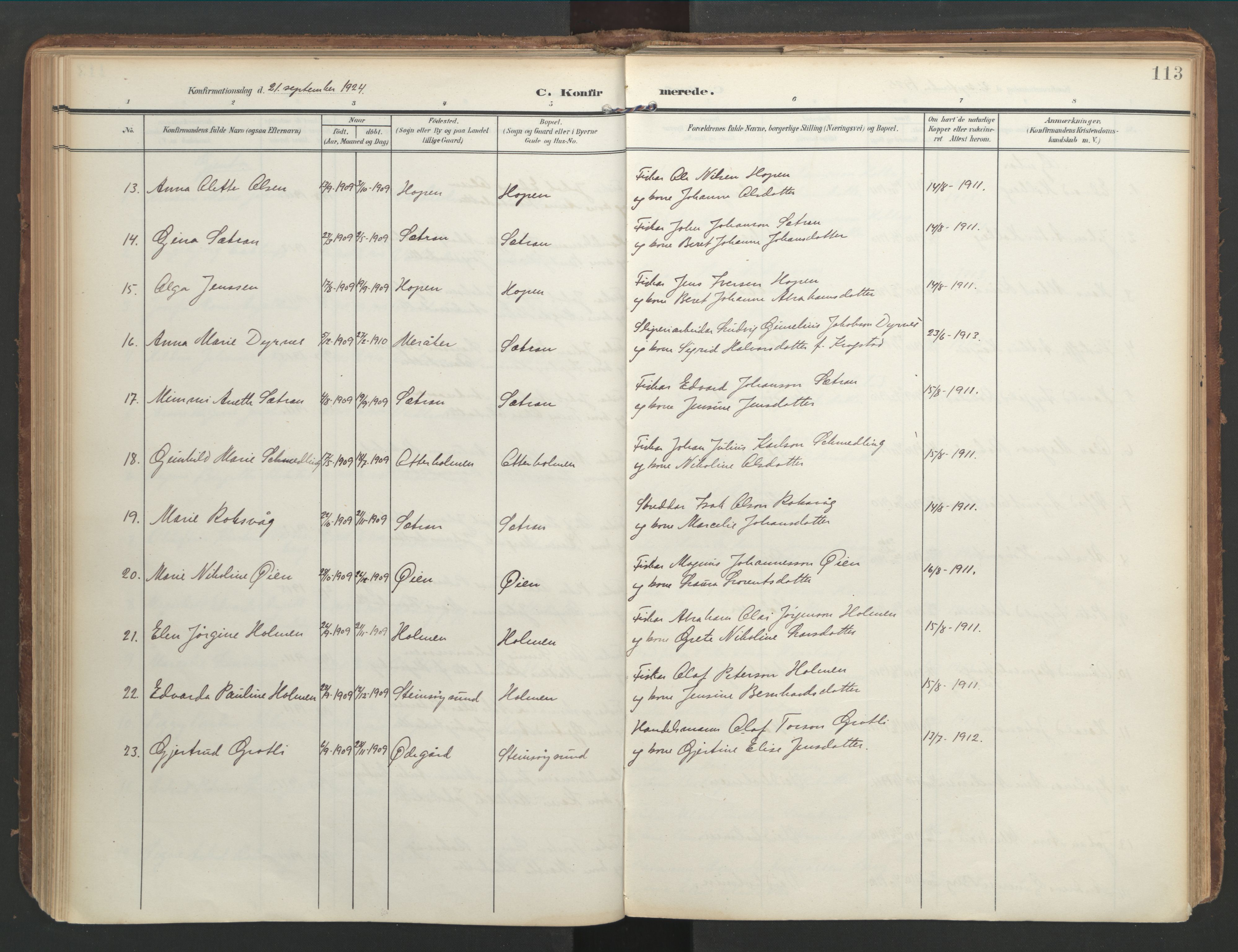 Ministerialprotokoller, klokkerbøker og fødselsregistre - Møre og Romsdal, AV/SAT-A-1454/583/L0955: Ministerialbok nr. 583A02, 1907-1926, s. 113