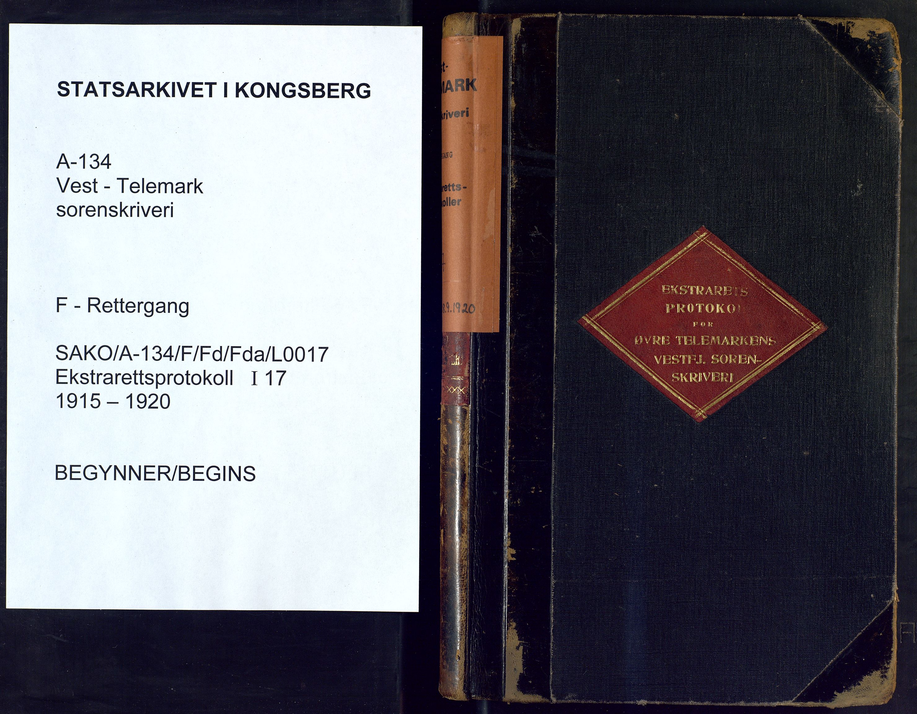 Vest-Telemark sorenskriveri, AV/SAKO-A-134/F/Fd/Fda/L0017: Ekstrarettsprotokoll, 1915-1920