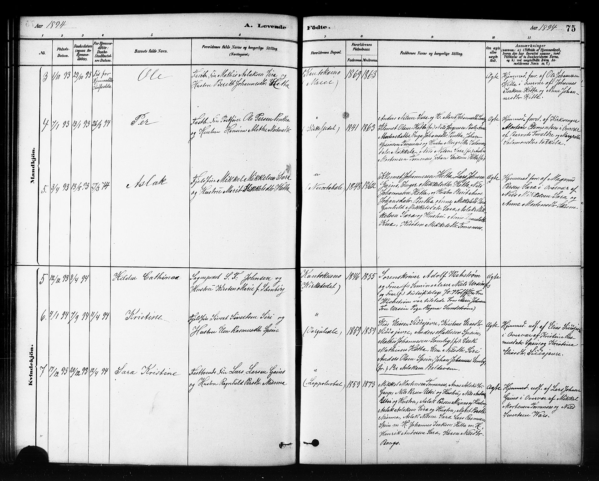 Kautokeino sokneprestembete, AV/SATØ-S-1340/H/Hb/L0002.klokk: Klokkerbok nr. 2, 1877-1896, s. 75