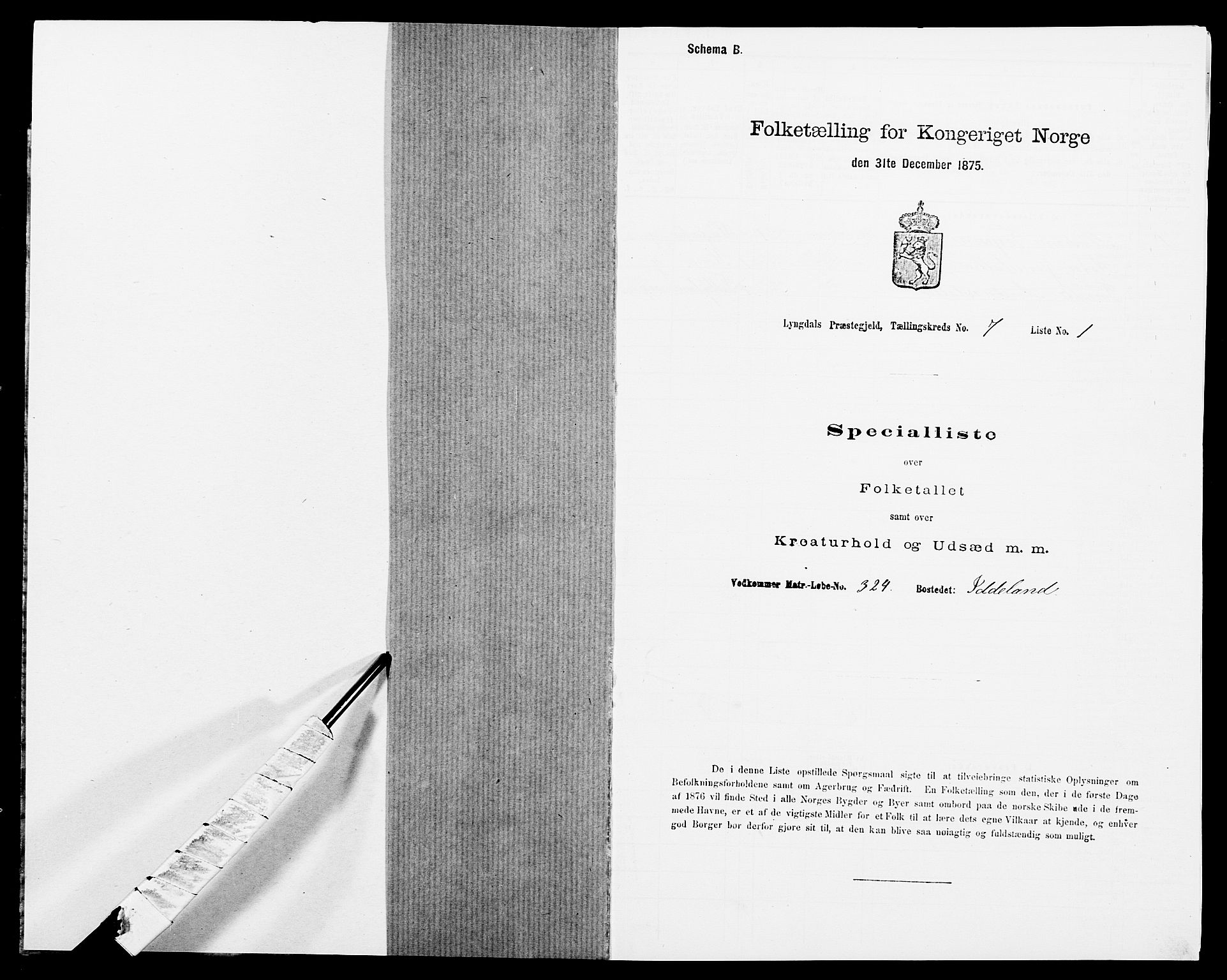 SAK, Folketelling 1875 for 1032P Lyngdal prestegjeld, 1875, s. 1100
