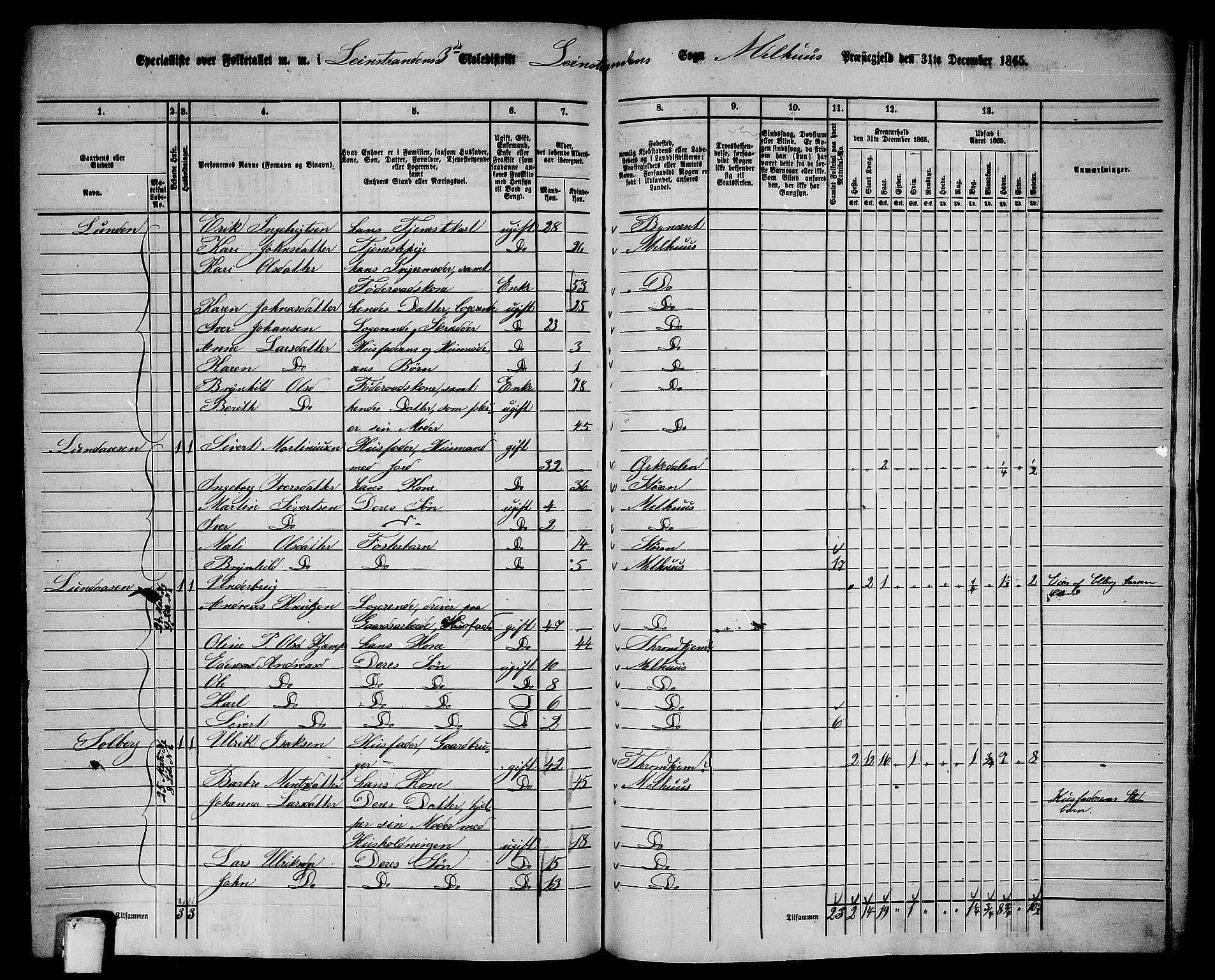 RA, Folketelling 1865 for 1653P Melhus prestegjeld, 1865, s. 236