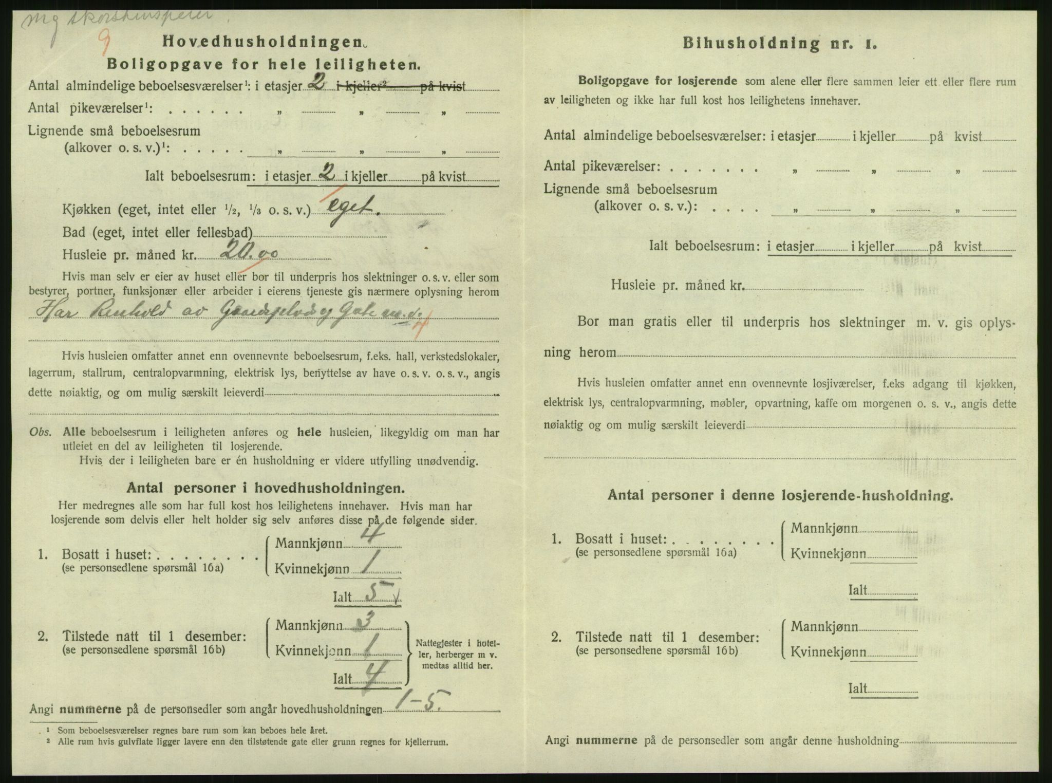 SAT, Folketelling 1920 for 1702 Steinkjer ladested, 1920, s. 1255