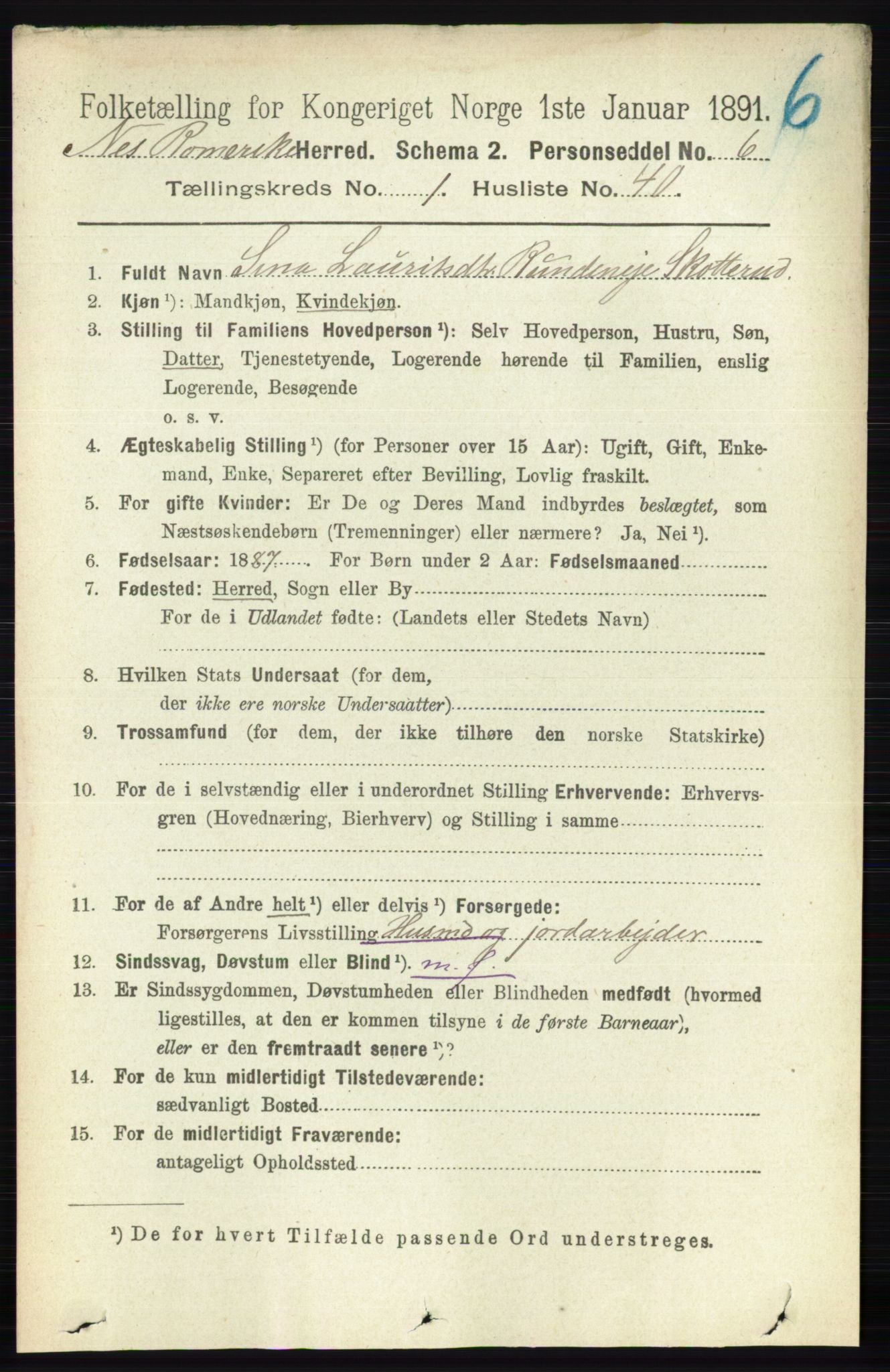 RA, Folketelling 1891 for 0236 Nes herred, 1891, s. 397