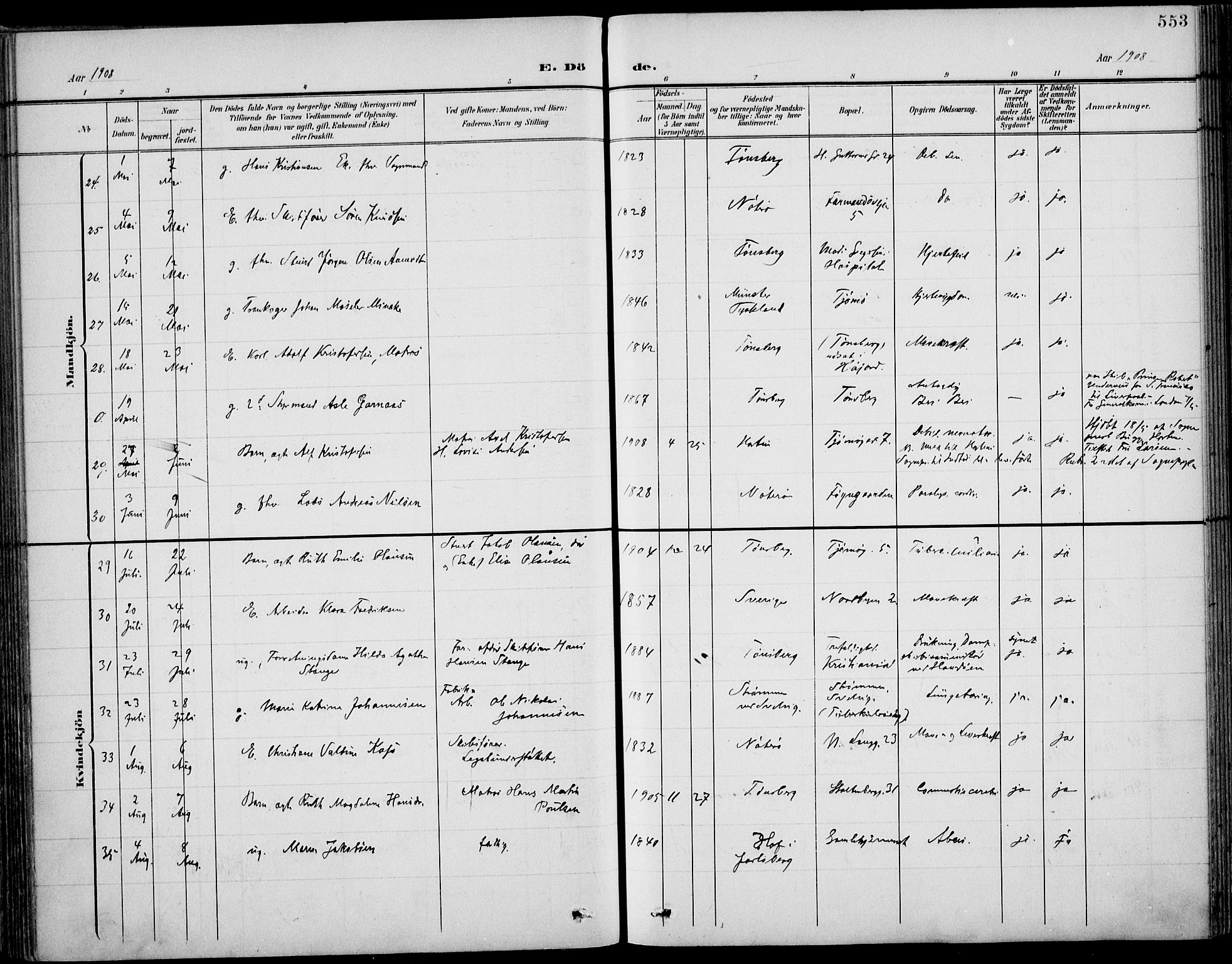 Tønsberg kirkebøker, AV/SAKO-A-330/F/Fa/L0013: Ministerialbok nr. I 13, 1900-1913, s. 553