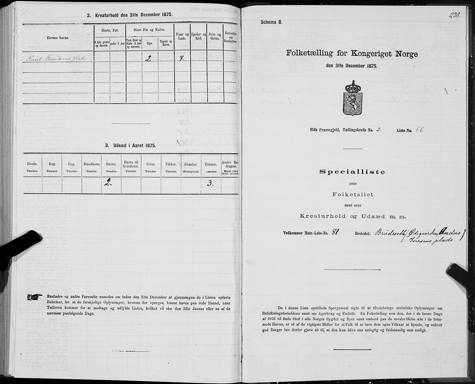 SAT, Folketelling 1875 for 1538P Eid prestegjeld, 1875, s. 1238