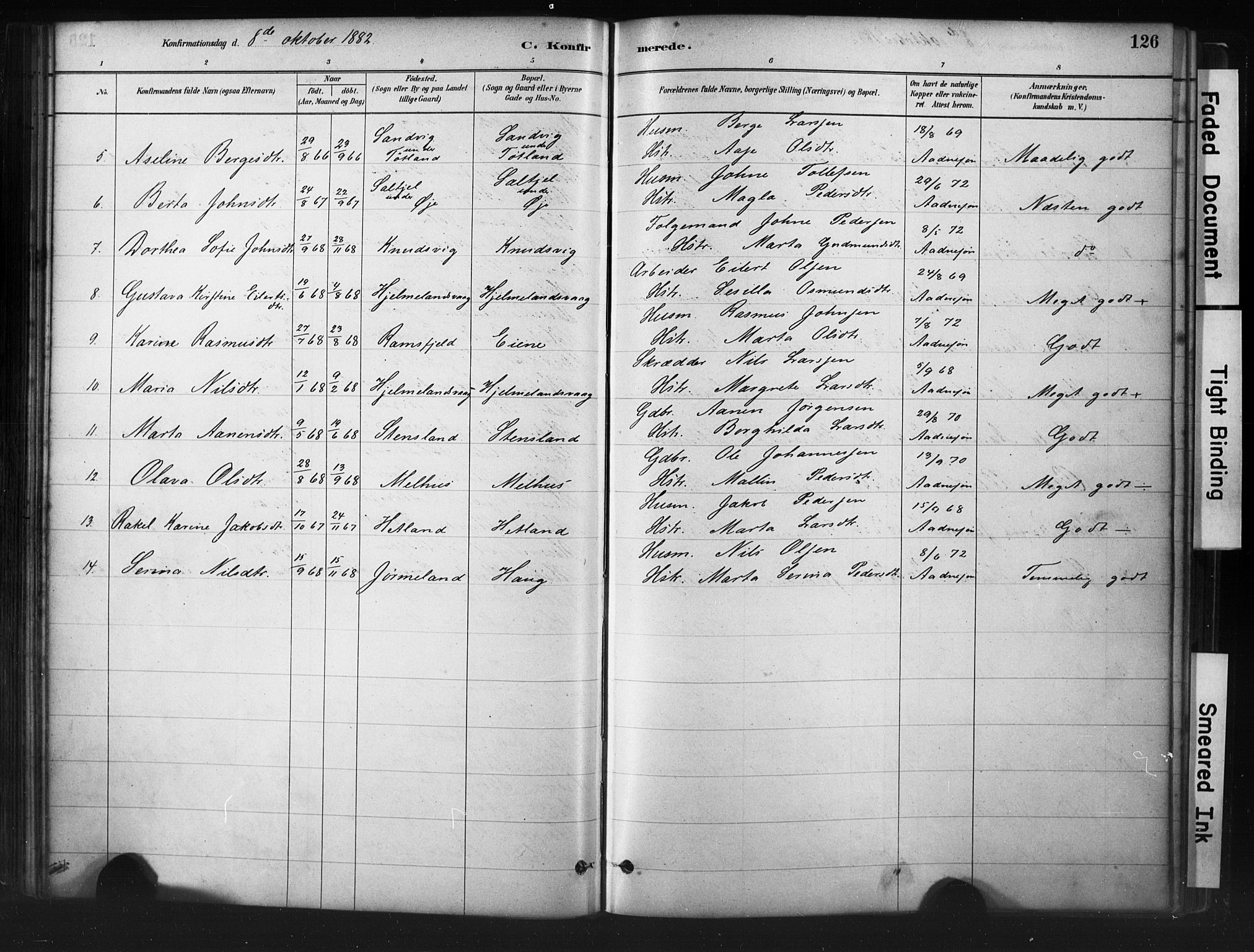 Hjelmeland sokneprestkontor, AV/SAST-A-101843/01/IV/L0014: Ministerialbok nr. A 14, 1879-1900, s. 126