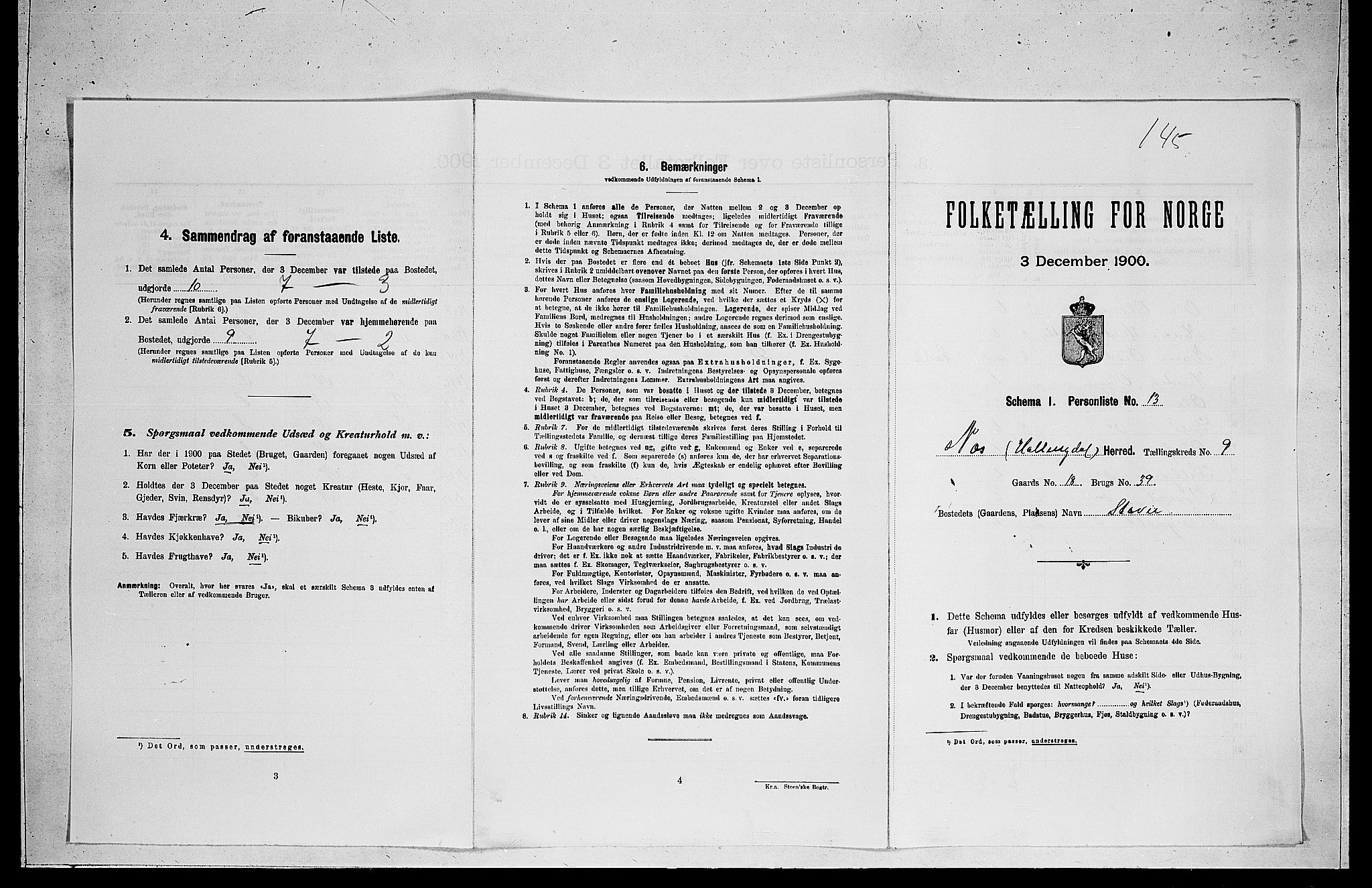 RA, Folketelling 1900 for 0616 Nes herred, 1900, s. 943
