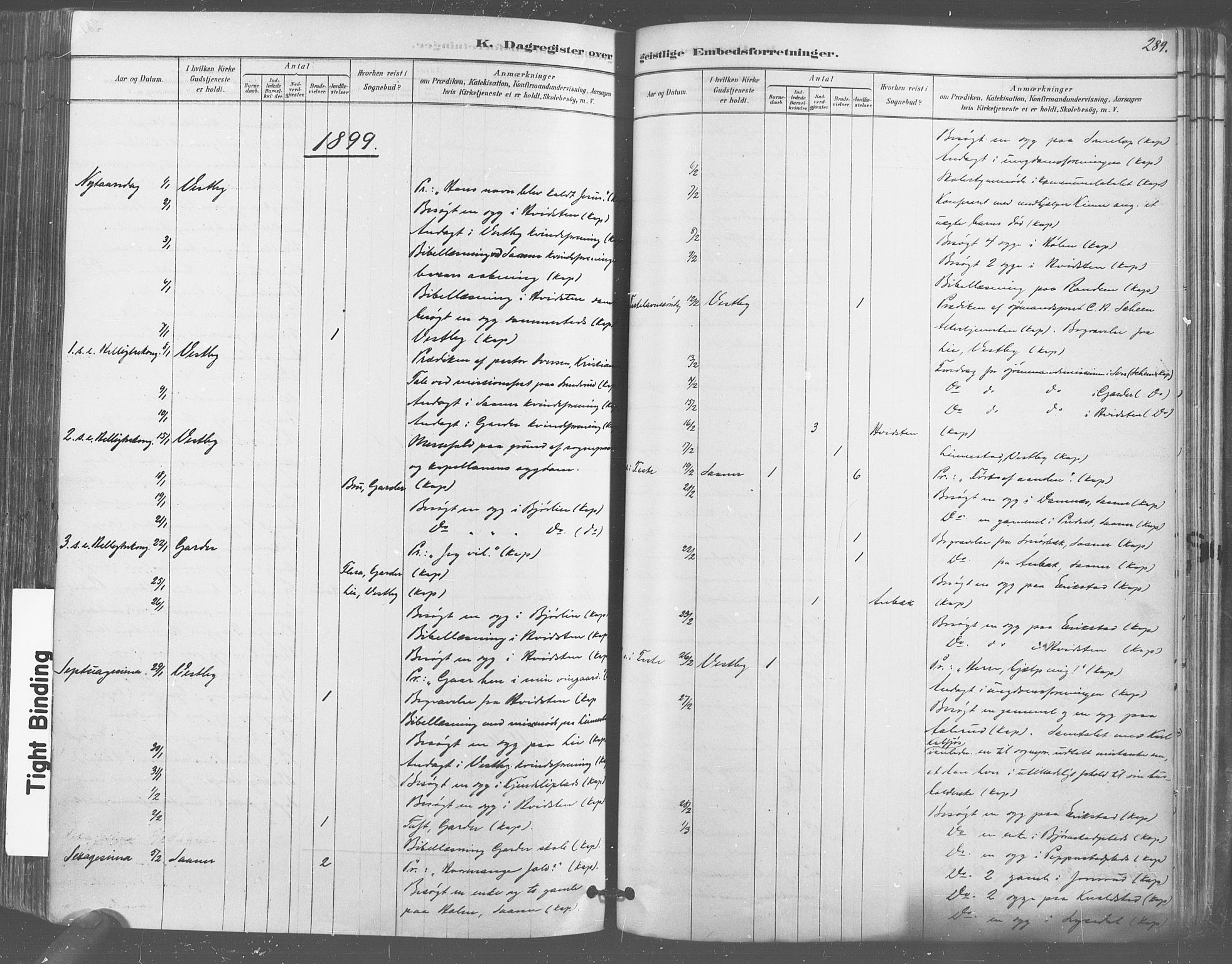 Vestby prestekontor Kirkebøker, AV/SAO-A-10893/F/Fa/L0009: Ministerialbok nr. I 9, 1878-1900, s. 289