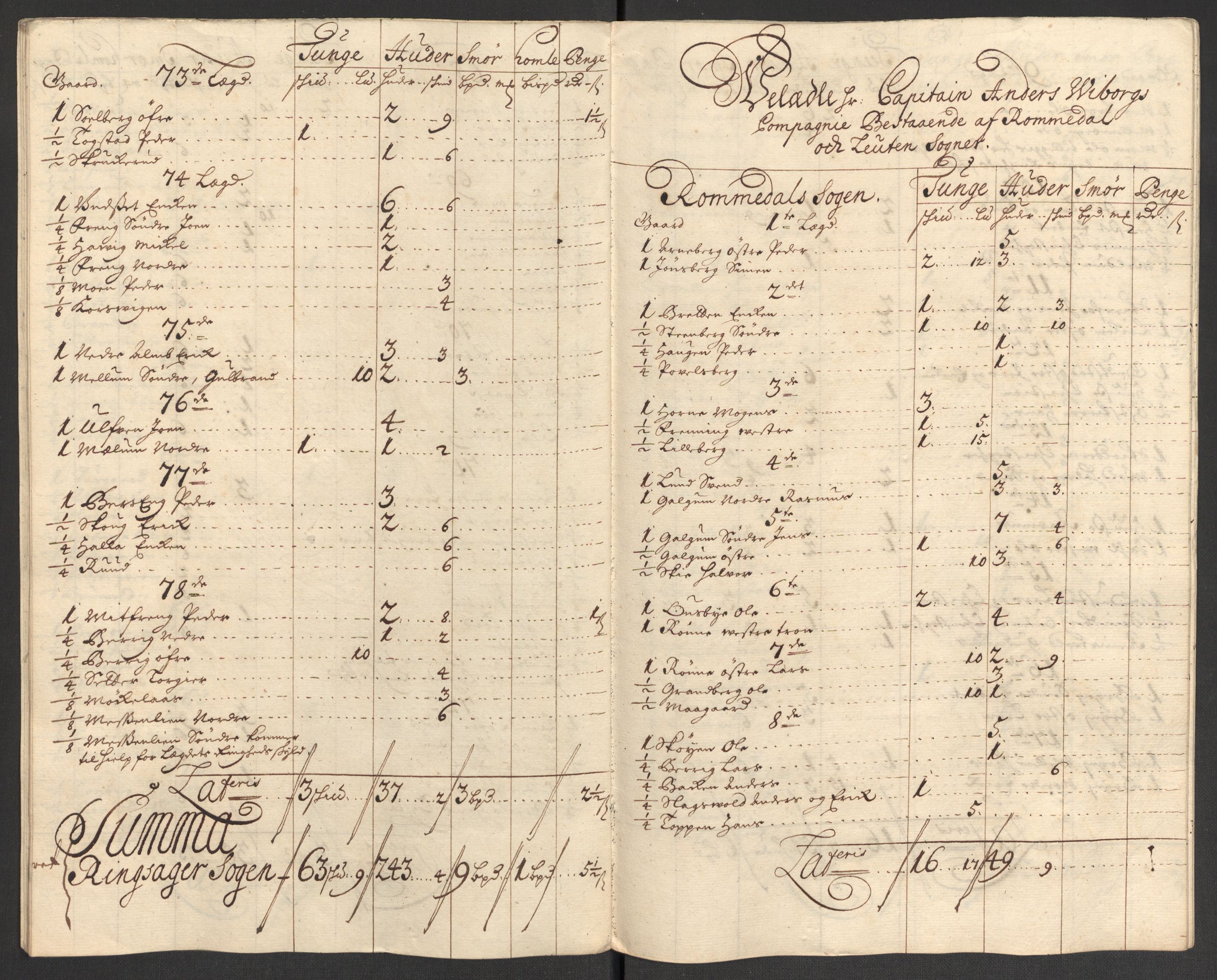 Rentekammeret inntil 1814, Reviderte regnskaper, Fogderegnskap, AV/RA-EA-4092/R16/L1042: Fogderegnskap Hedmark, 1705, s. 81