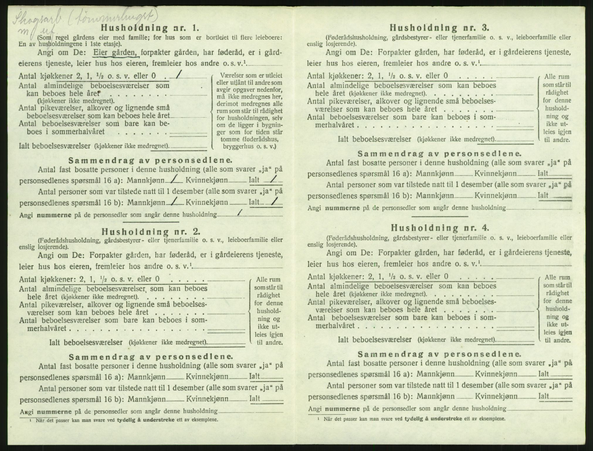 SAH, Folketelling 1920 for 0526 Snertingdal herred, 1920, s. 206
