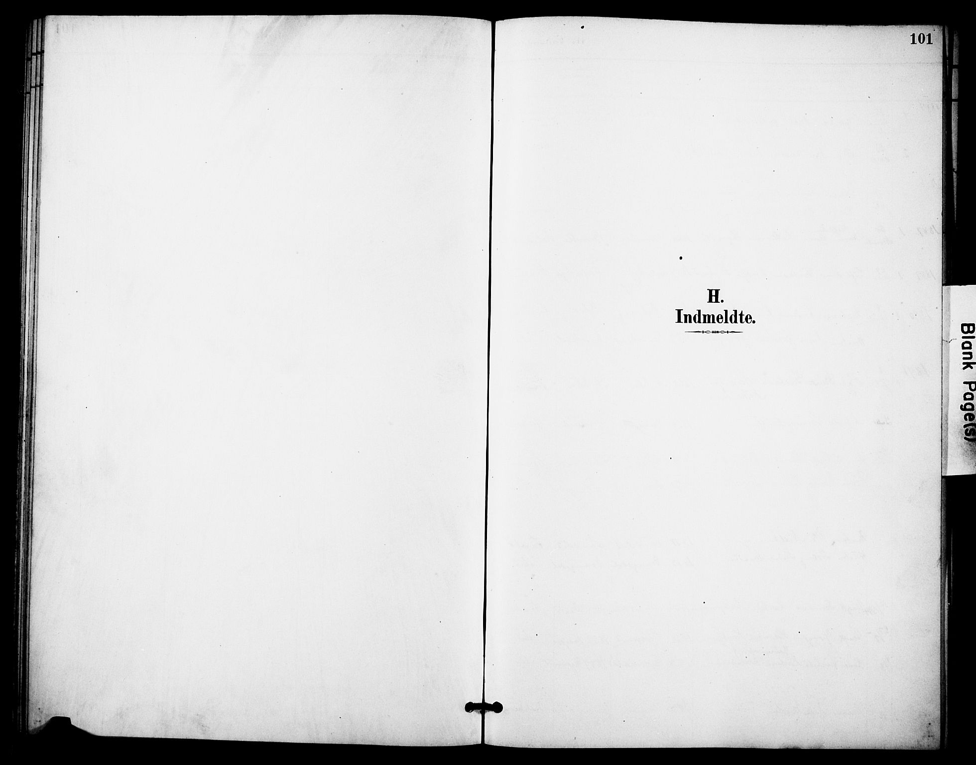 Skåtøy kirkebøker, AV/SAKO-A-304/F/Fa/L0004: Ministerialbok nr. I 4, 1884-1900, s. 101