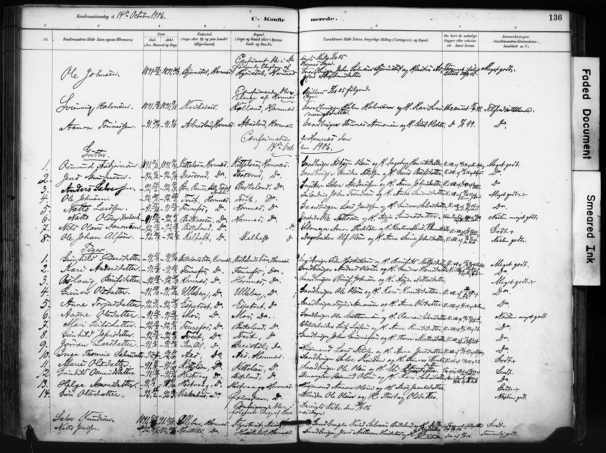 Evje sokneprestkontor, AV/SAK-1111-0008/F/Fa/Fab/L0003: Ministerialbok nr. A 3, 1884-1909, s. 136