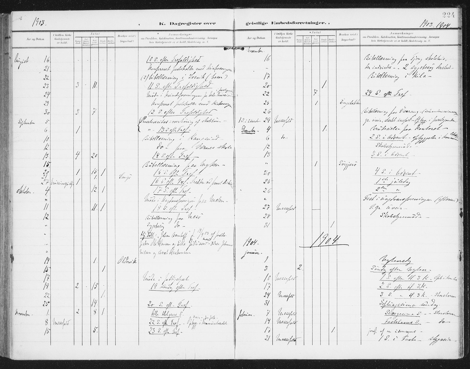 Ministerialprotokoller, klokkerbøker og fødselsregistre - Nordland, AV/SAT-A-1459/841/L0612: Ministerialbok nr. 841A15, 1902-1910, s. 224