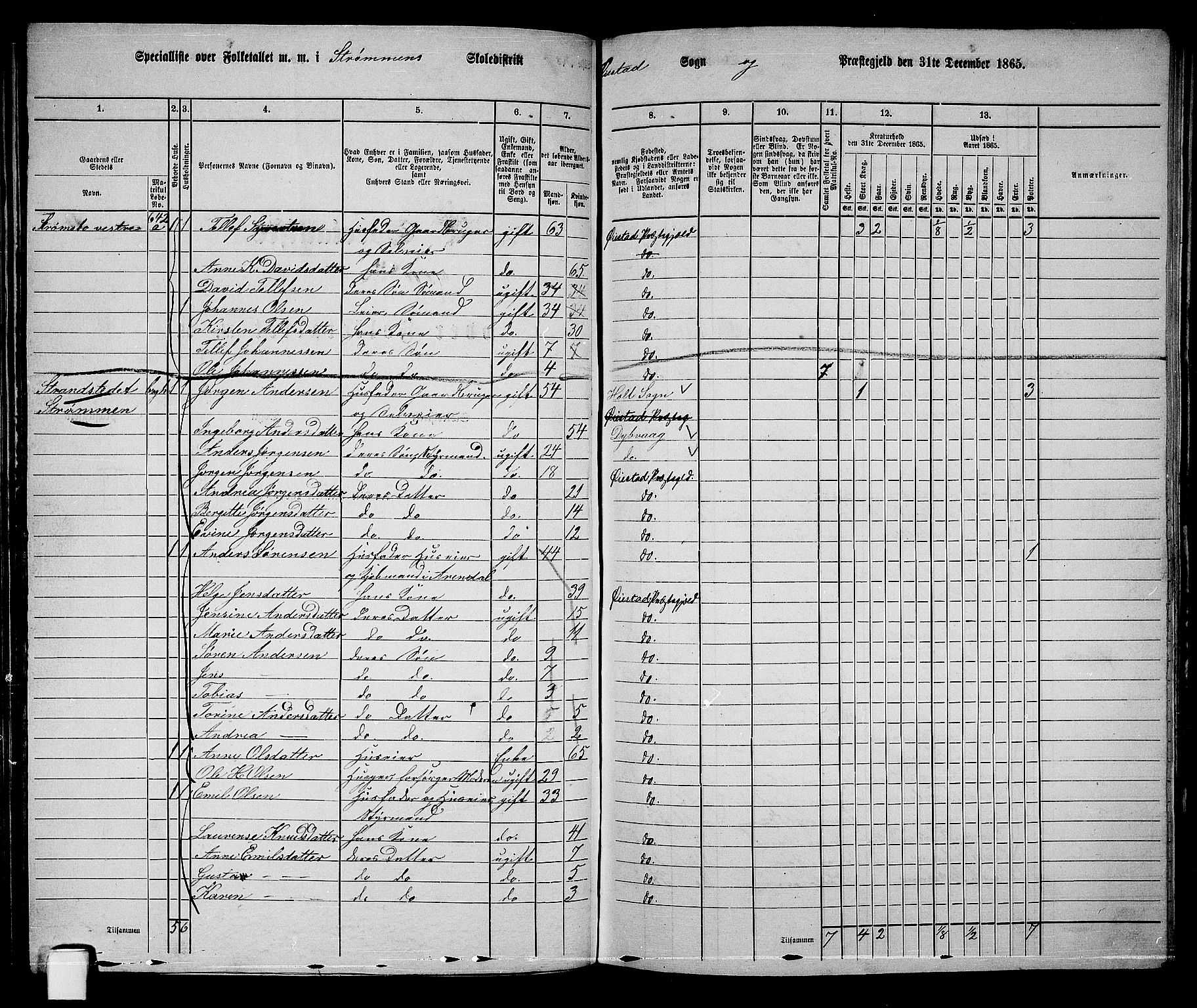 RA, Folketelling 1865 for 0920P Øyestad prestegjeld, 1865, s. 96