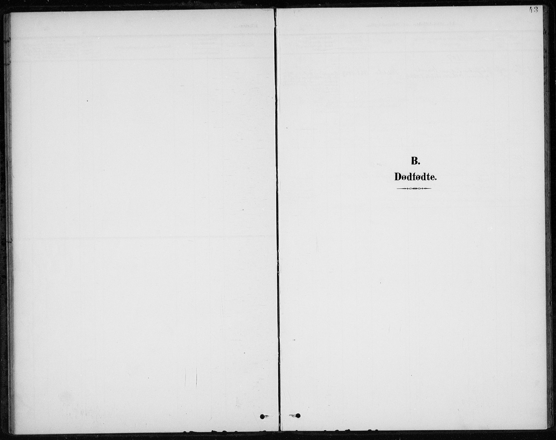 Botne kirkebøker, AV/SAKO-A-340/F/Fb/L0002: Ministerialbok nr. II 2, 1902-1915, s. 43