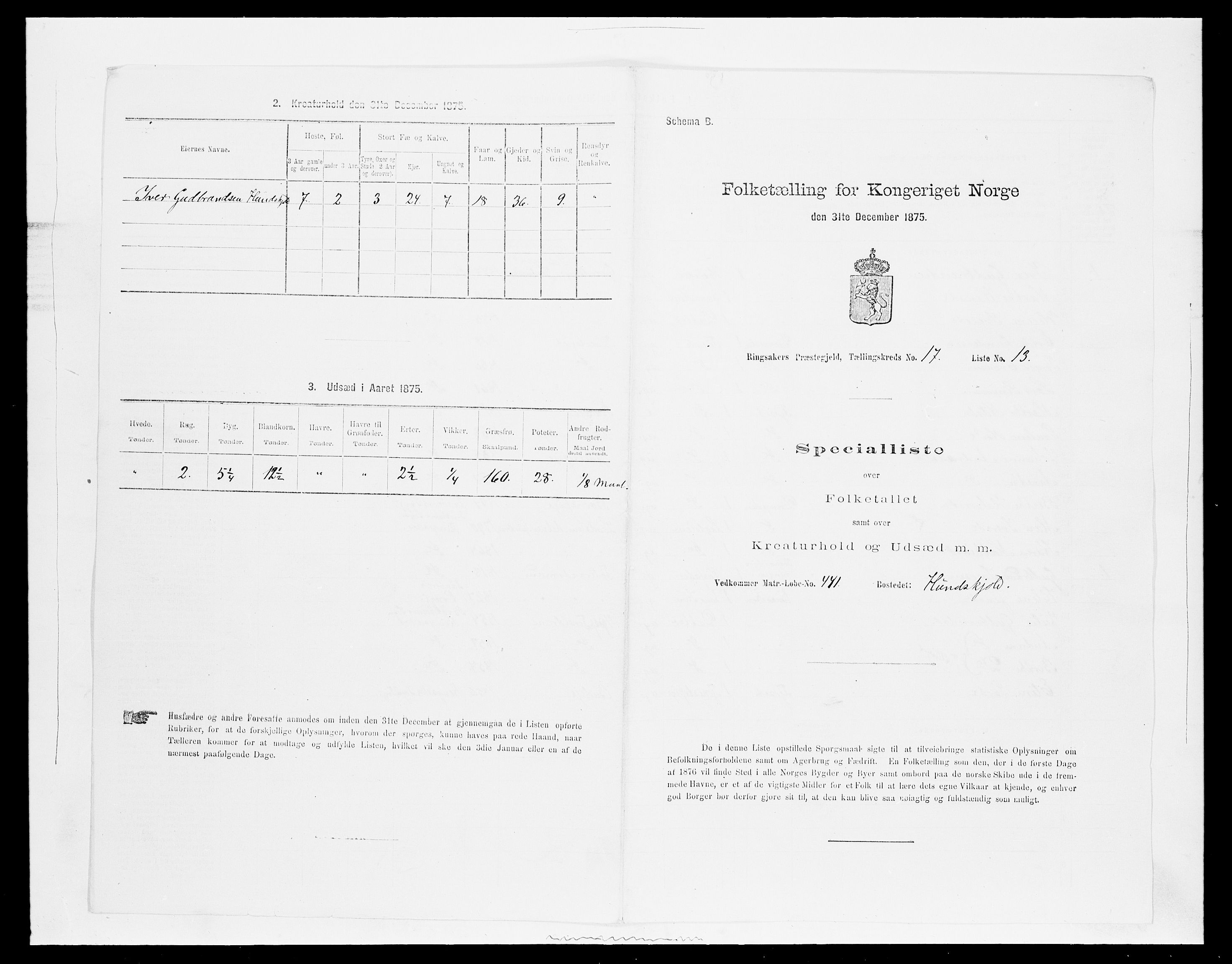 SAH, Folketelling 1875 for 0412P Ringsaker prestegjeld, 1875, s. 3415