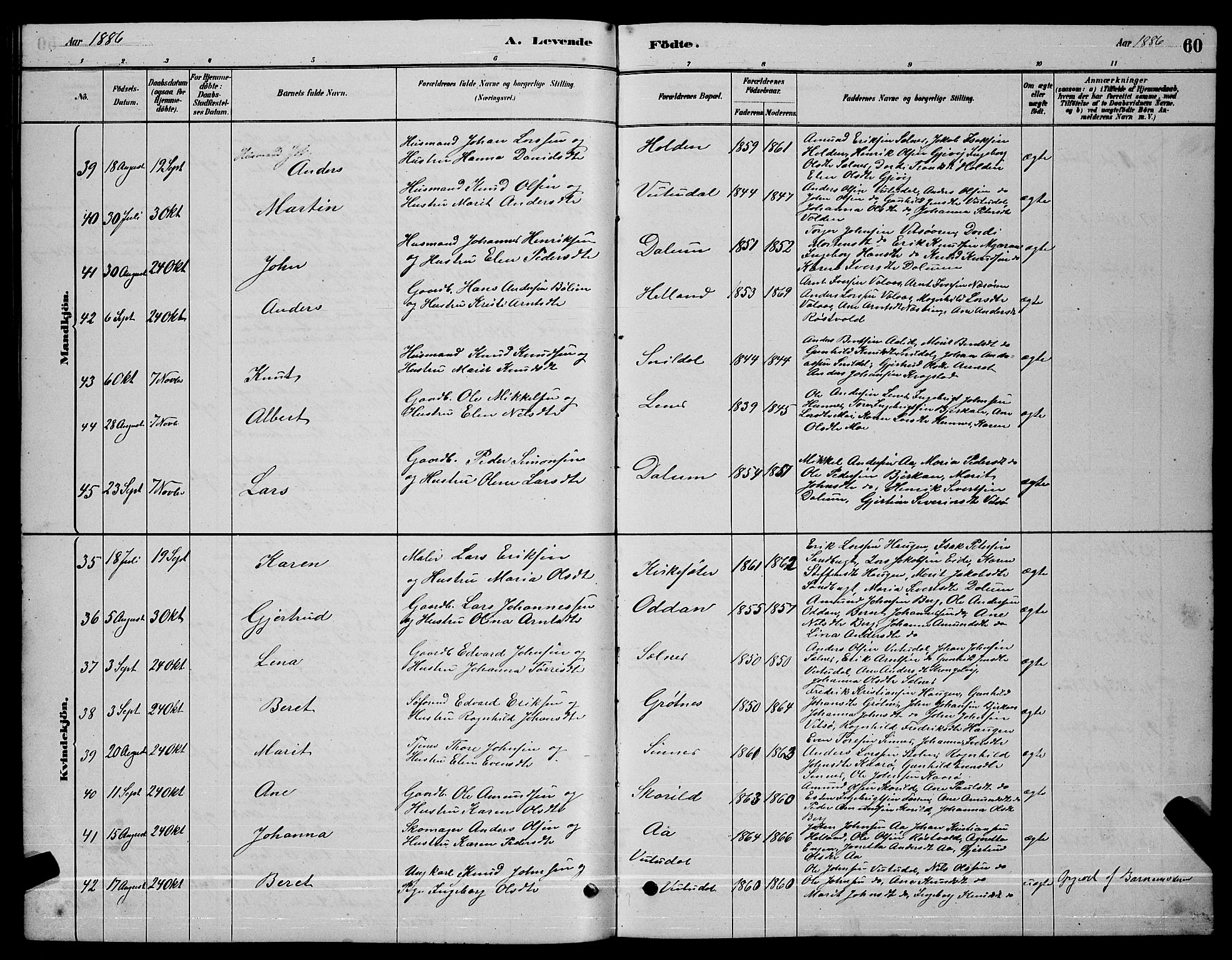 Ministerialprotokoller, klokkerbøker og fødselsregistre - Sør-Trøndelag, SAT/A-1456/630/L0504: Klokkerbok nr. 630C02, 1879-1898, s. 60