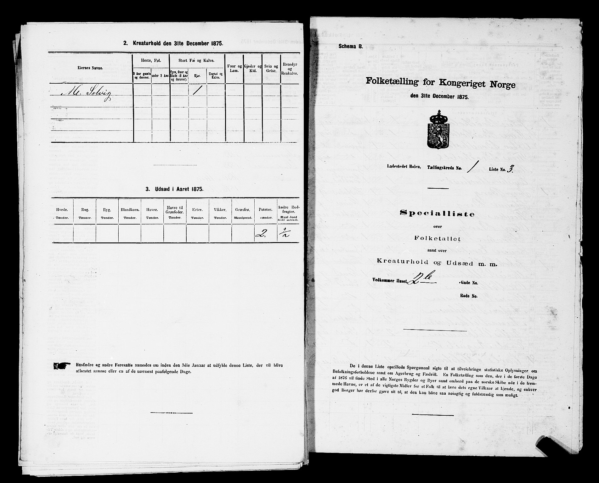 RA, Folketelling 1875 for 0204B Vestby prestegjeld, Hølen ladested, 1875, s. 71