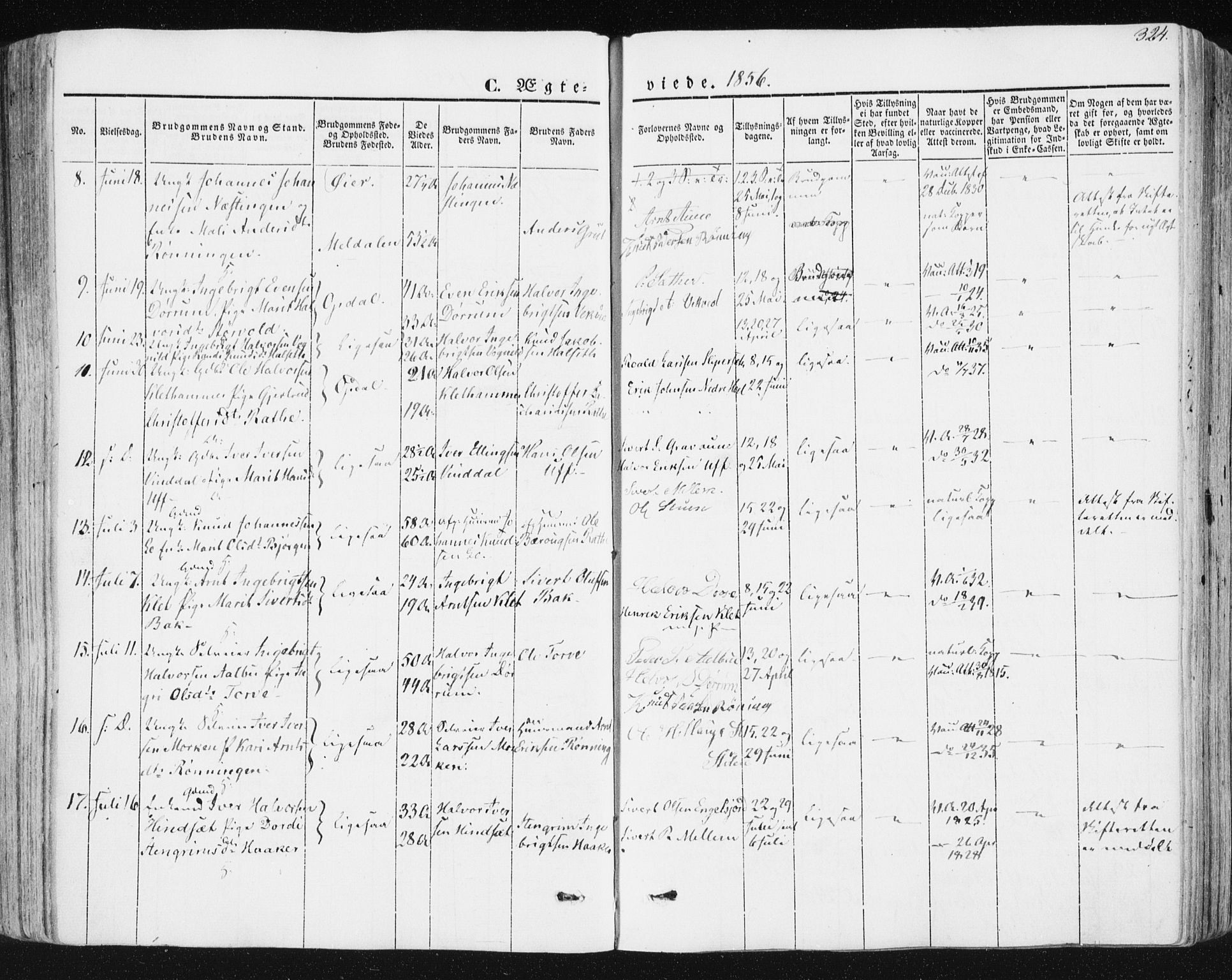 Ministerialprotokoller, klokkerbøker og fødselsregistre - Sør-Trøndelag, AV/SAT-A-1456/678/L0899: Ministerialbok nr. 678A08, 1848-1872, s. 324