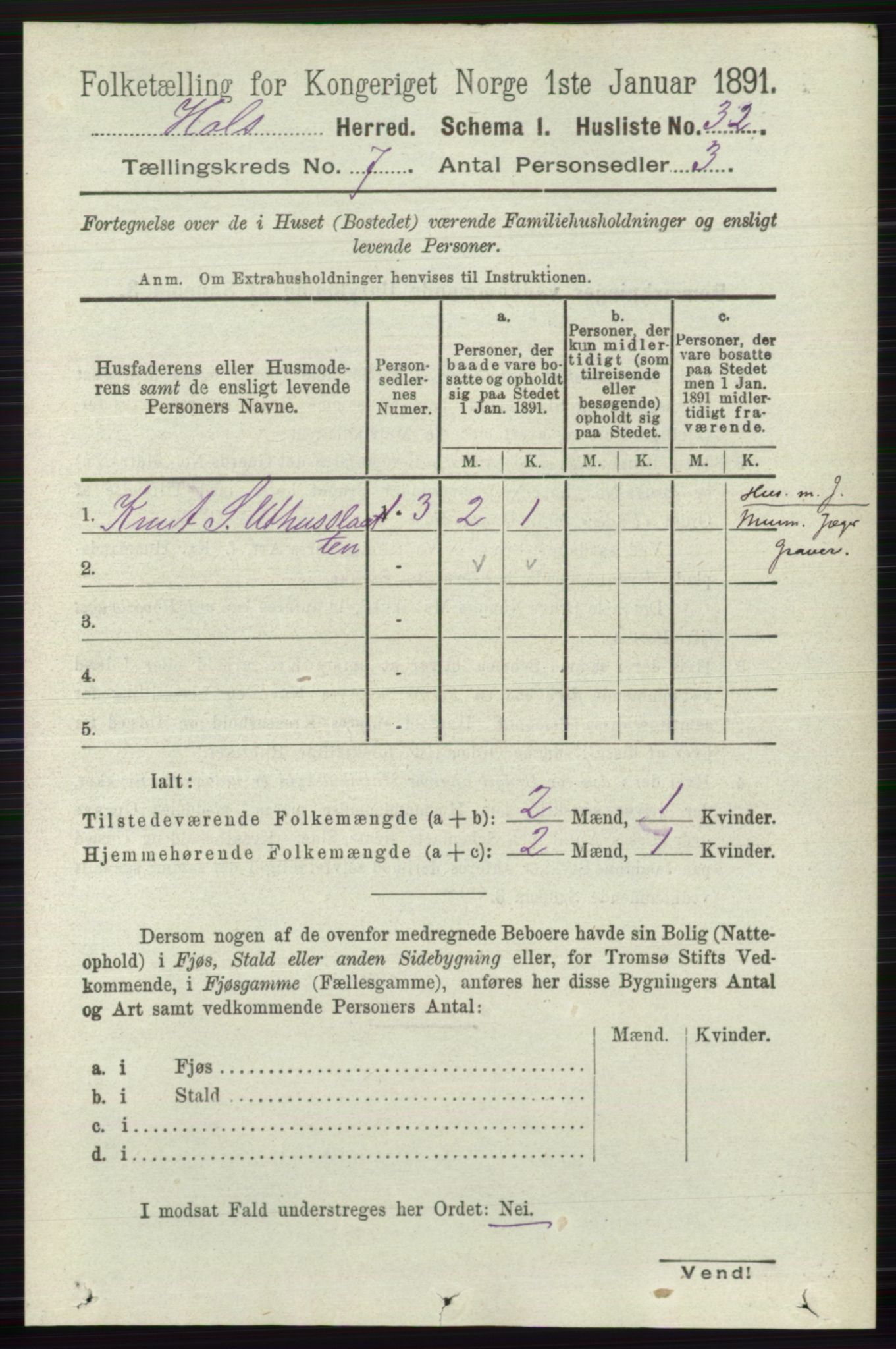 RA, Folketelling 1891 for 0620 Hol herred, 1891, s. 2009