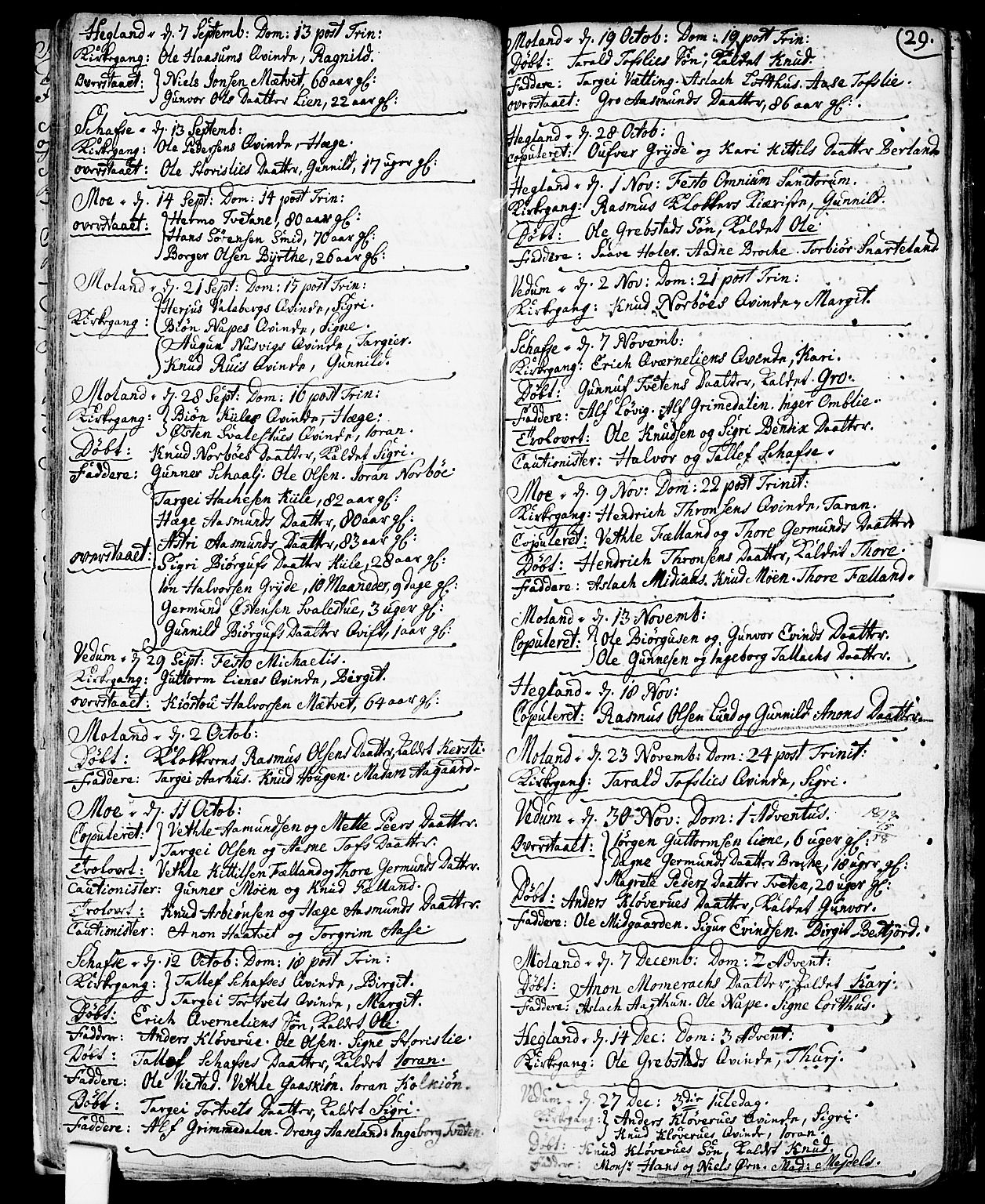 Fyresdal kirkebøker, SAKO/A-263/F/Fa/L0001: Ministerialbok nr. I 1, 1724-1748, s. 29