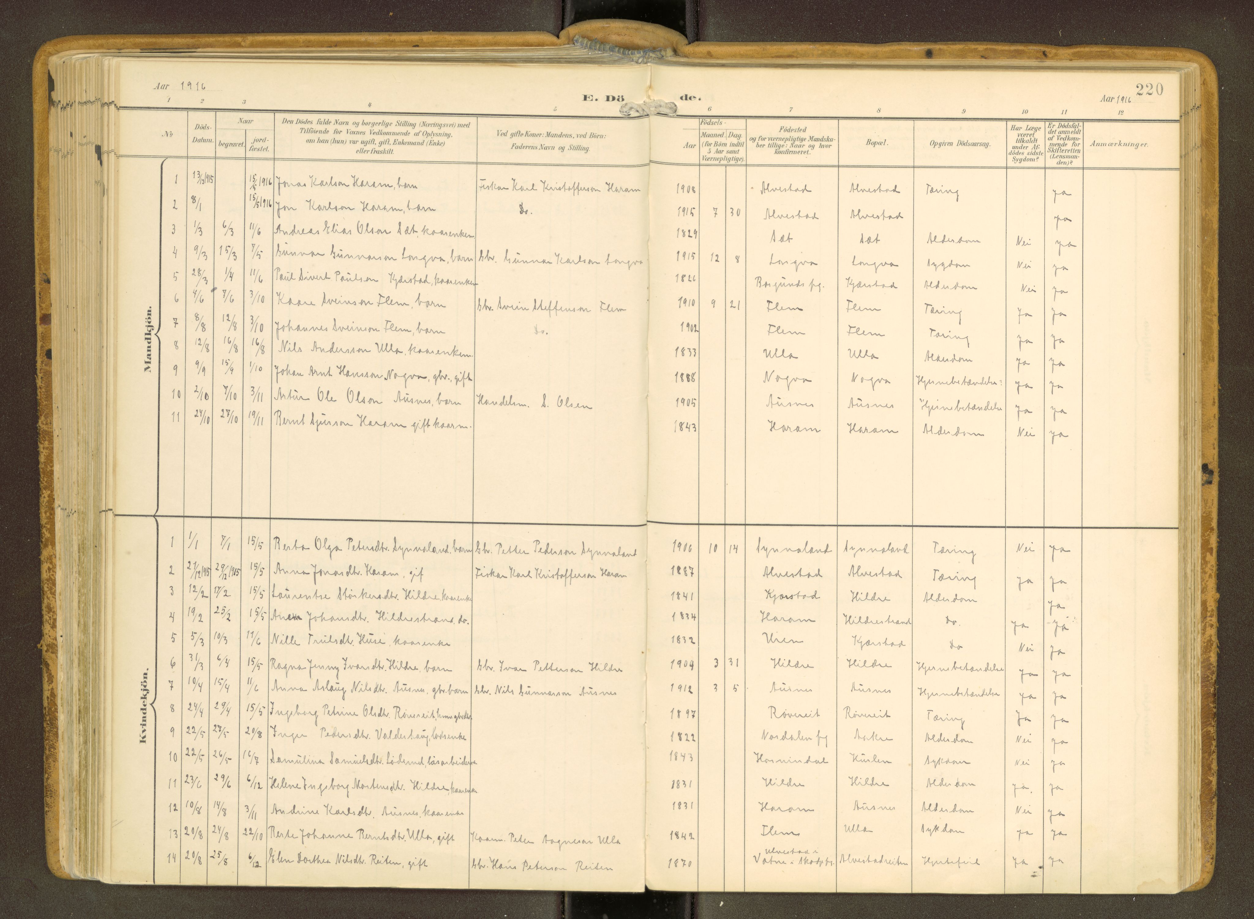 Ministerialprotokoller, klokkerbøker og fødselsregistre - Møre og Romsdal, AV/SAT-A-1454/536/L0517: Ministerialbok nr. 536A--, 1897-1917, s. 220