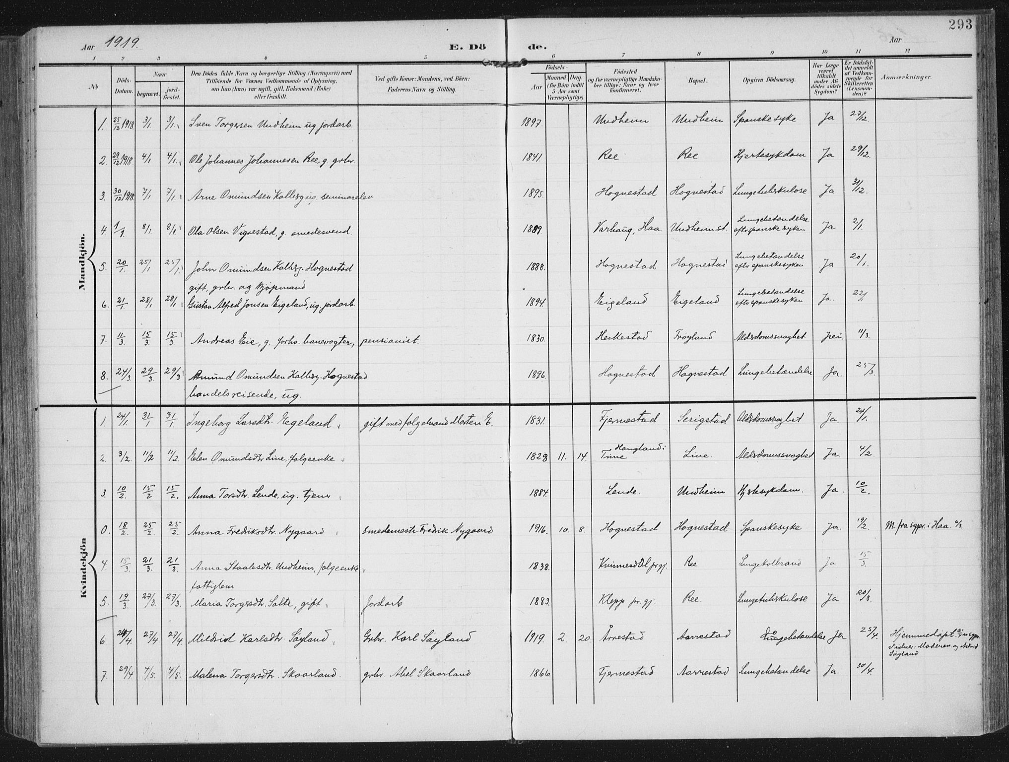 Lye sokneprestkontor, SAST/A-101794/002/A/L0001: Ministerialbok nr. A 12, 1904-1920, s. 293