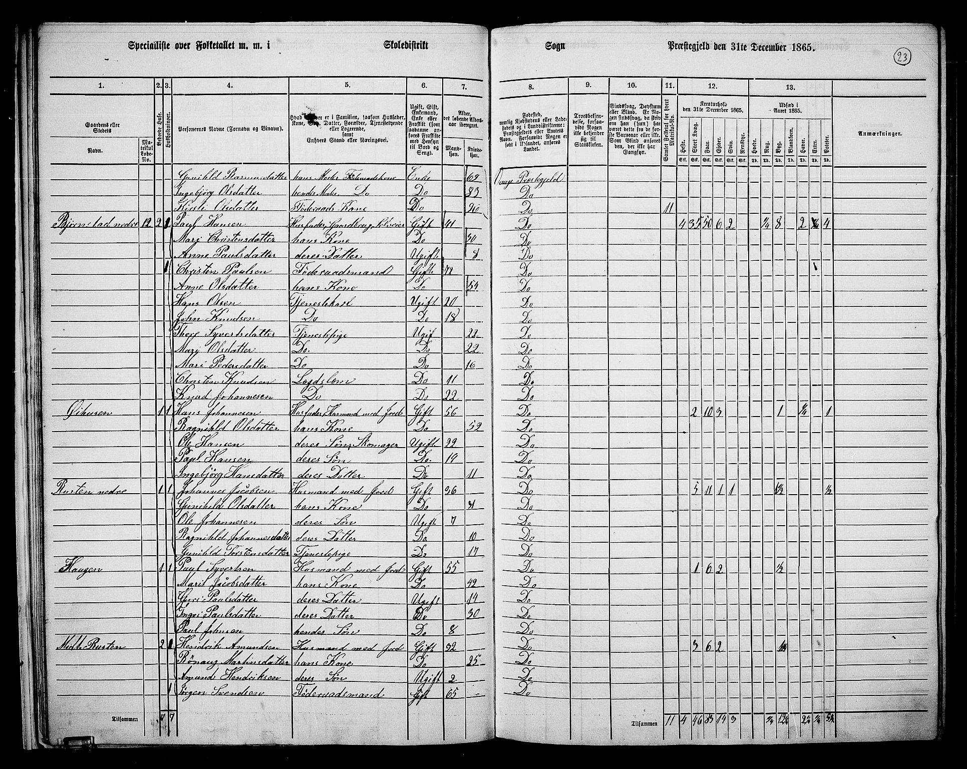 RA, Folketelling 1865 for 0515P Vågå prestegjeld, 1865, s. 20