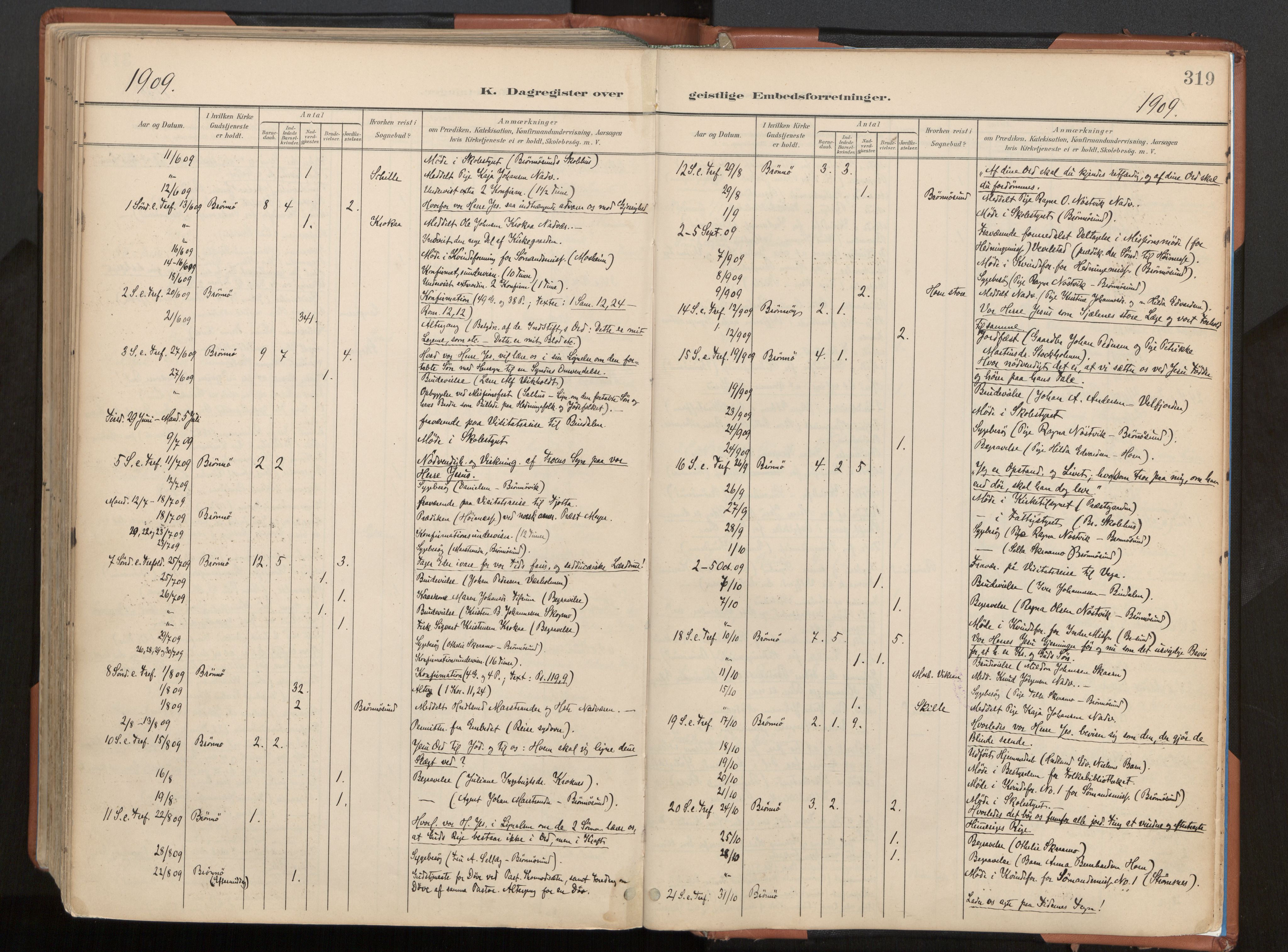 Ministerialprotokoller, klokkerbøker og fødselsregistre - Nordland, AV/SAT-A-1459/813/L0201: Ministerialbok nr. 813A11, 1901-1918, s. 319