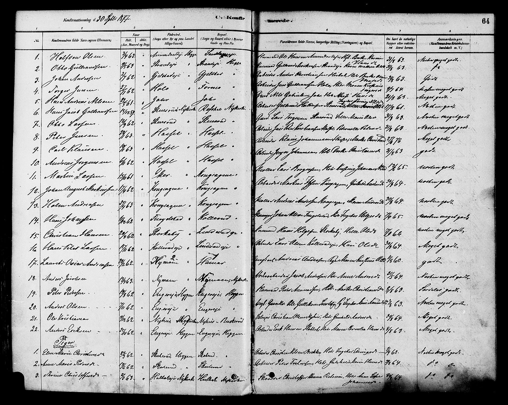 Modum kirkebøker, AV/SAKO-A-234/F/Fa/L0015: Ministerialbok nr. 15 /1, 1877-1889, s. 64