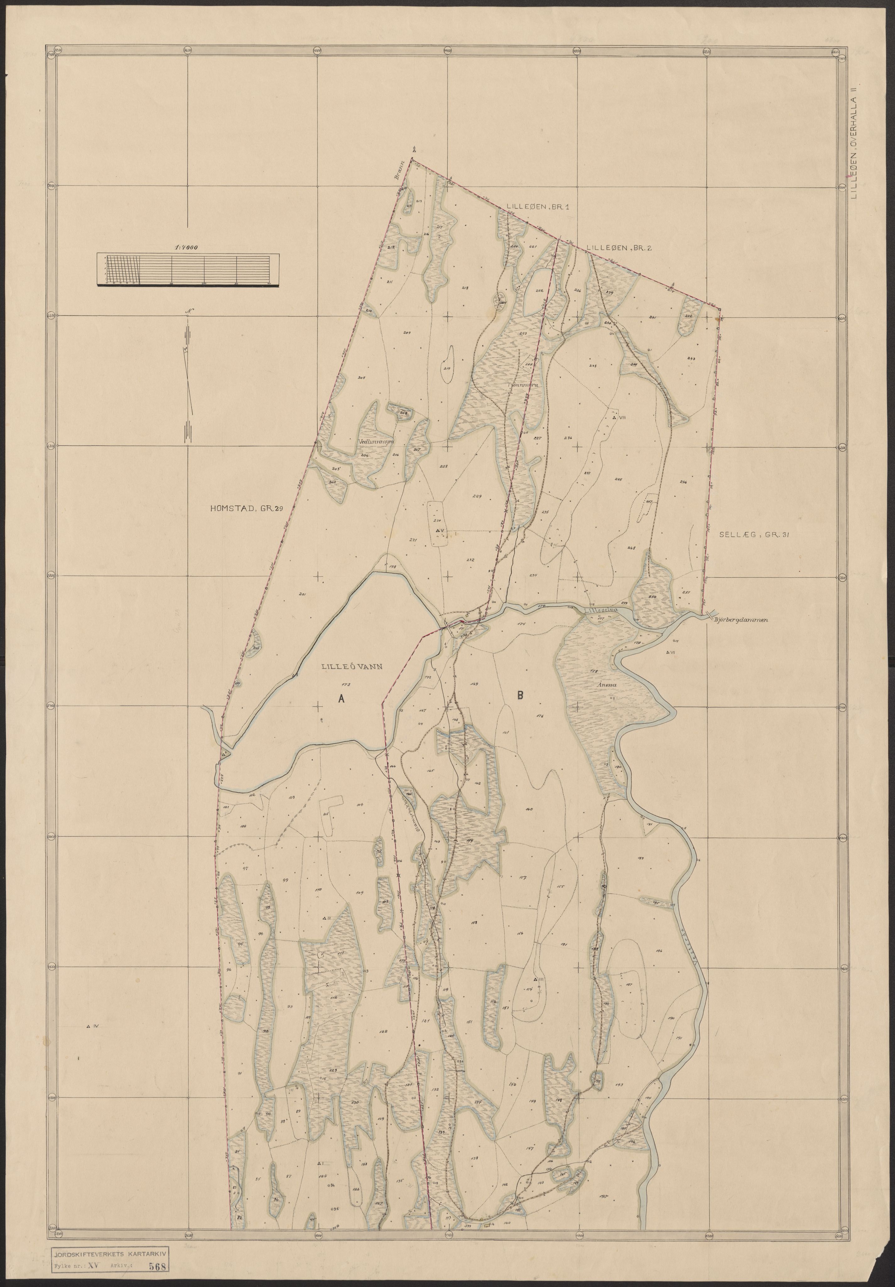 Jordskifteverkets kartarkiv, AV/RA-S-3929/T, 1859-1988, s. 729