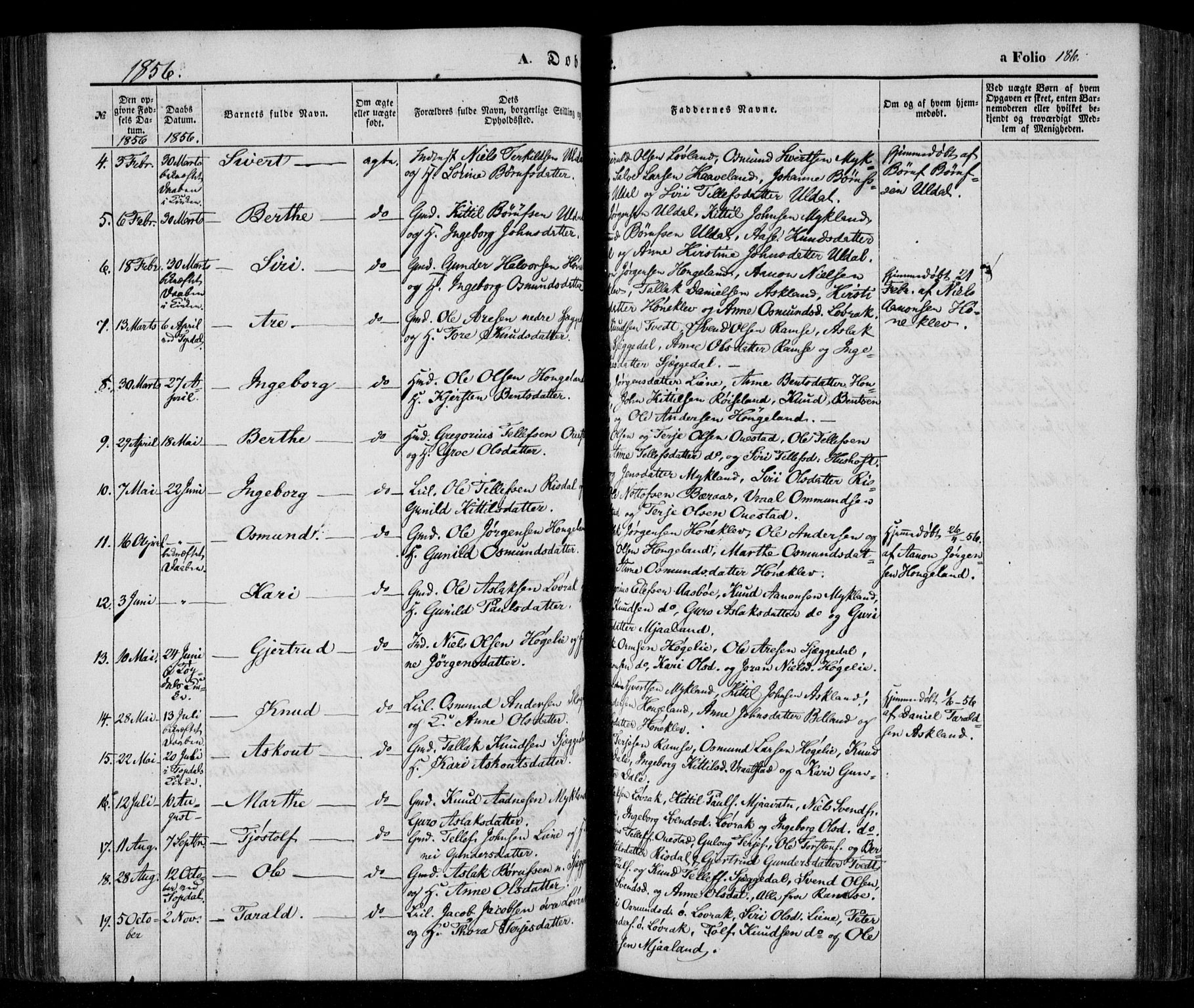 Åmli sokneprestkontor, AV/SAK-1111-0050/F/Fa/Fac/L0008: Ministerialbok nr. A 8, 1852-1869, s. 186