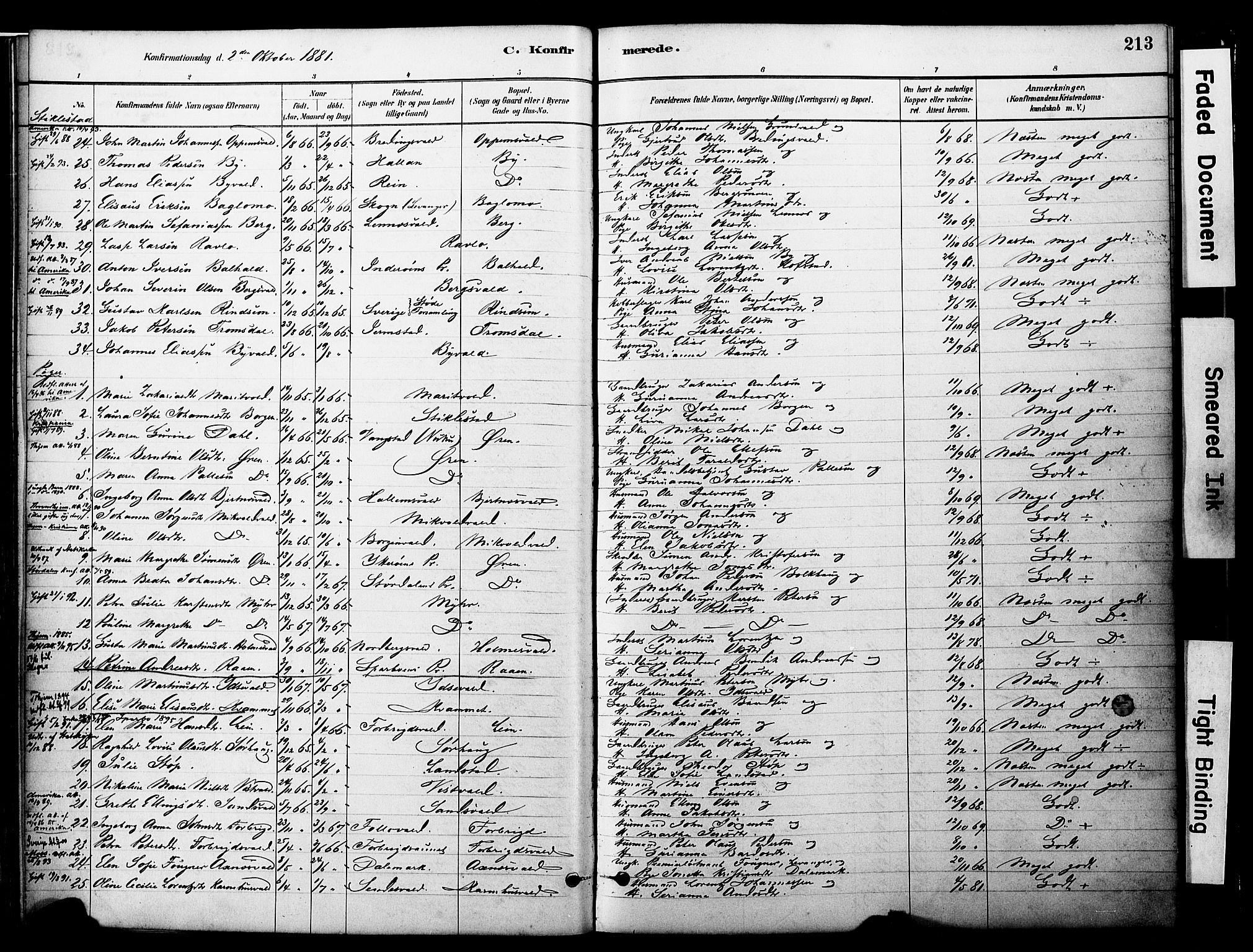 Ministerialprotokoller, klokkerbøker og fødselsregistre - Nord-Trøndelag, AV/SAT-A-1458/723/L0244: Ministerialbok nr. 723A13, 1881-1899, s. 213