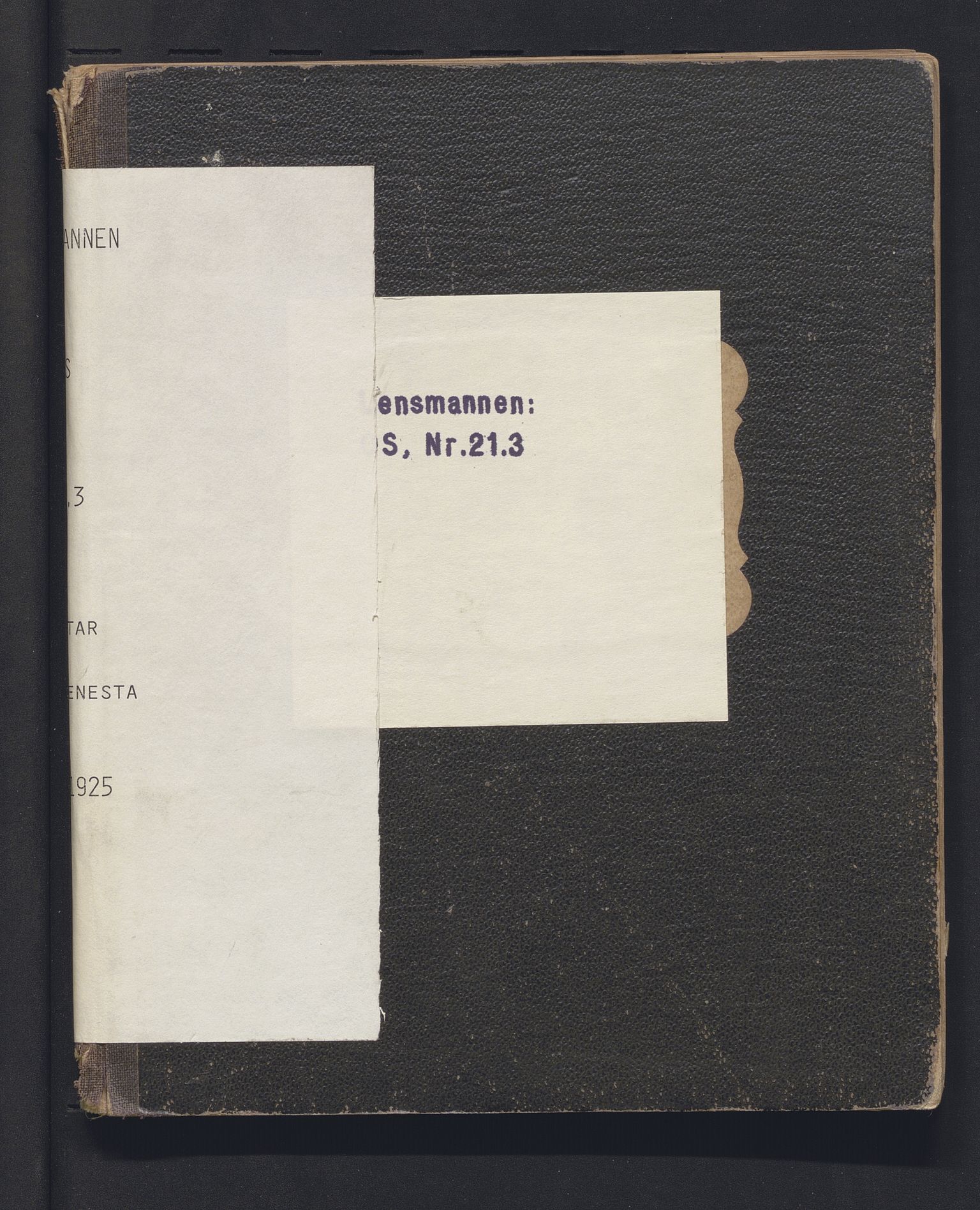 Lensmannen i Os, SAB/A-34101/0021/L0003: Hestar i skysstenesta, 1907-1925