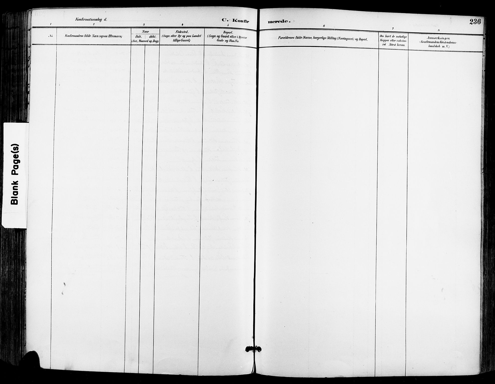 Sande Kirkebøker, SAKO/A-53/F/Fa/L0007: Ministerialbok nr. 7, 1888-1903, s. 236