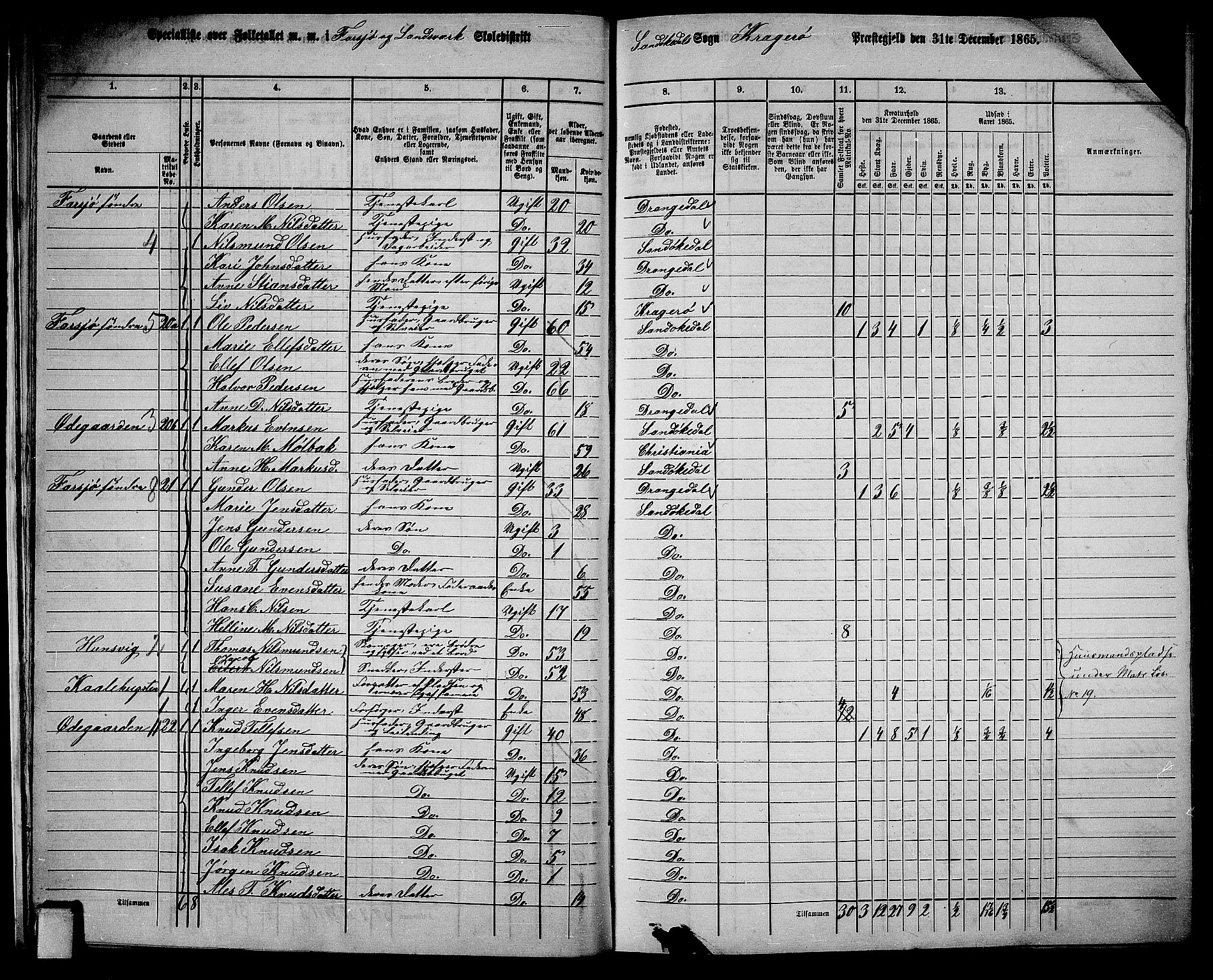 RA, Folketelling 1865 for 0816L Kragerø prestegjeld, Sannidal sokn og Skåtøy sokn, 1865, s. 19