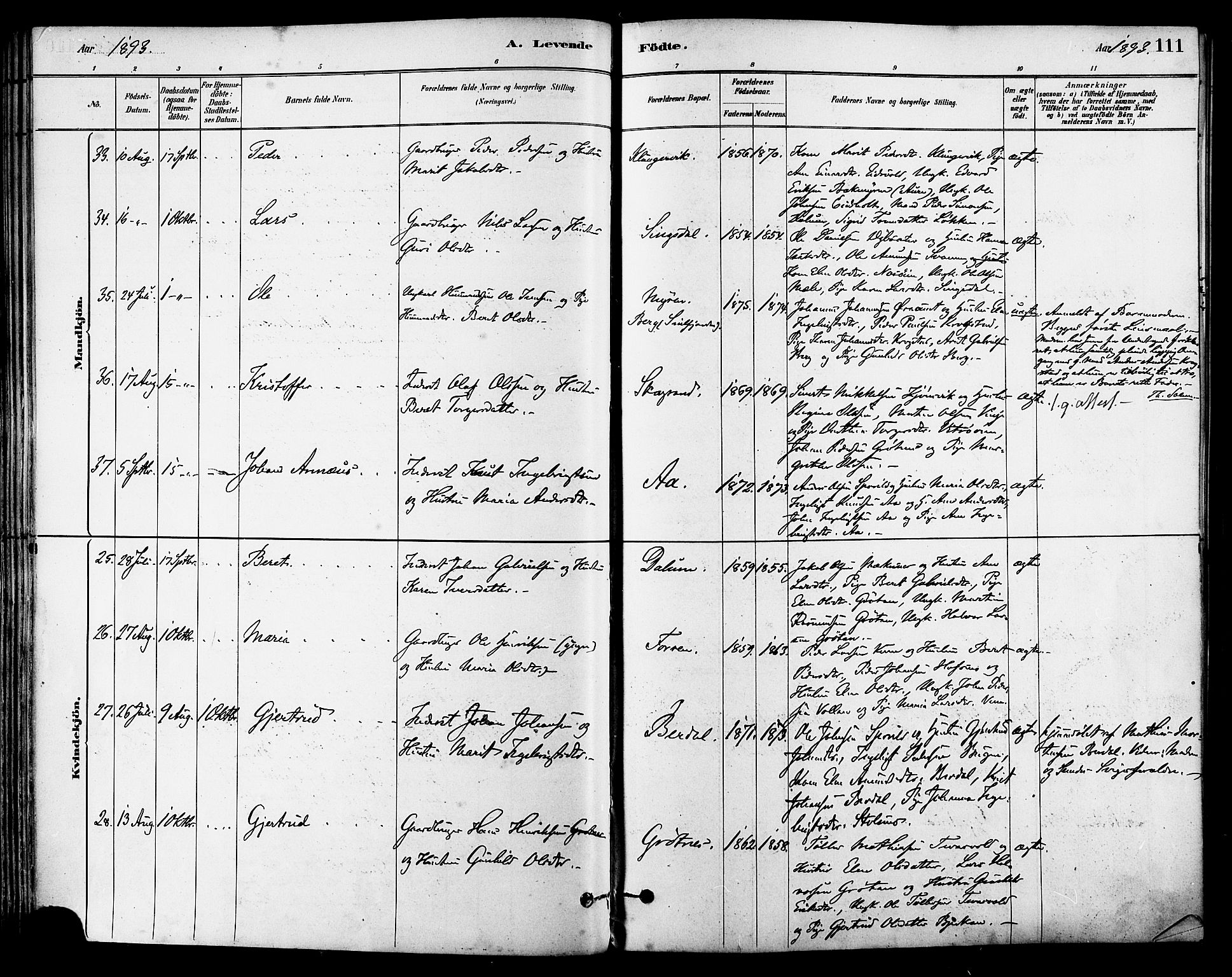 Ministerialprotokoller, klokkerbøker og fødselsregistre - Sør-Trøndelag, SAT/A-1456/630/L0496: Ministerialbok nr. 630A09, 1879-1895, s. 111