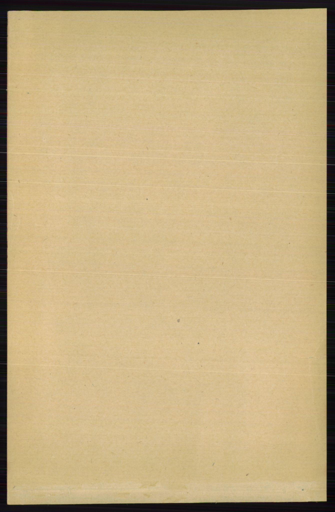 RA, Folketelling 1891 for 0619 Ål herred, 1891, s. 2091