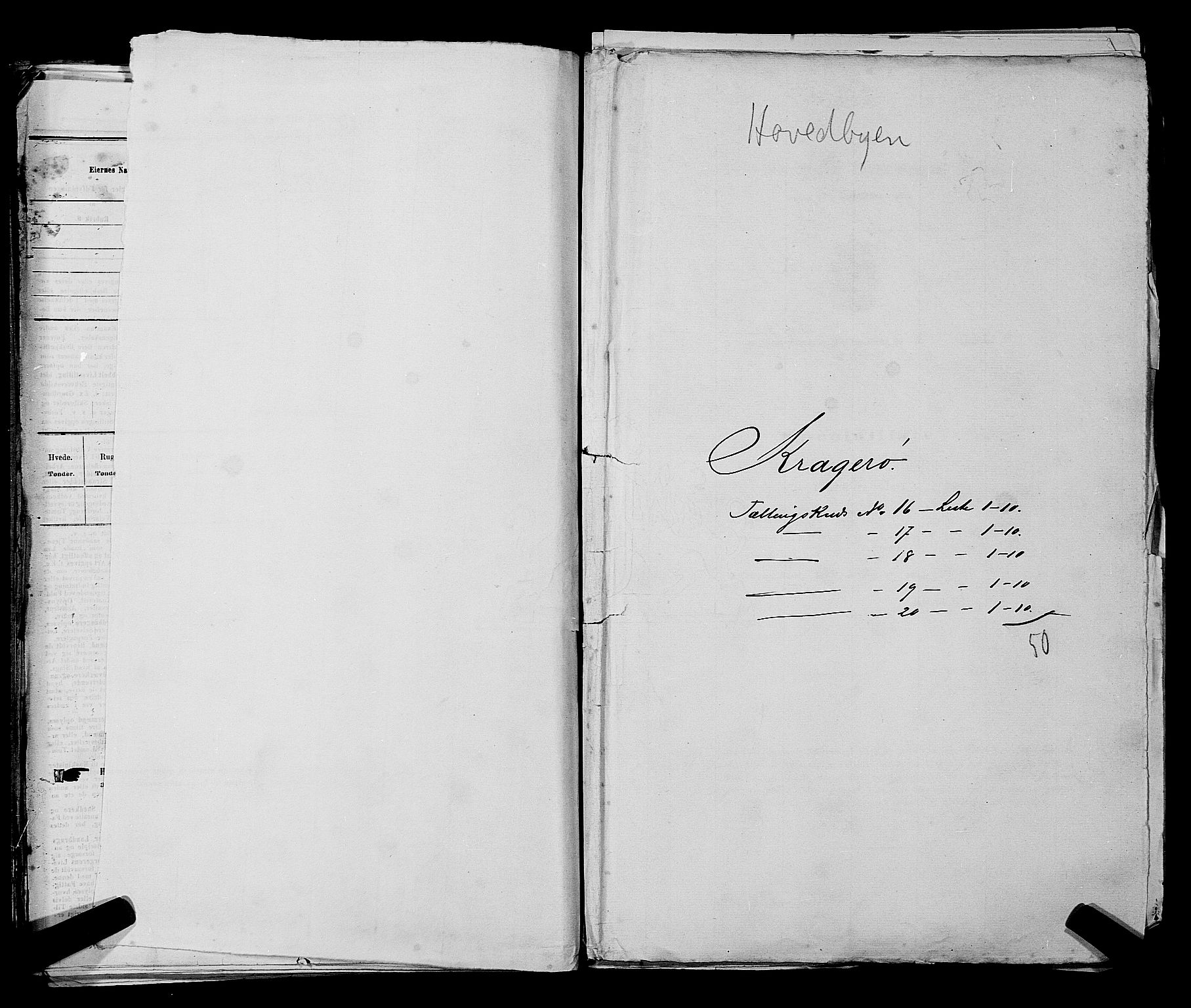 SAKO, Folketelling 1875 for 0801P Kragerø prestegjeld, 1875, s. 337