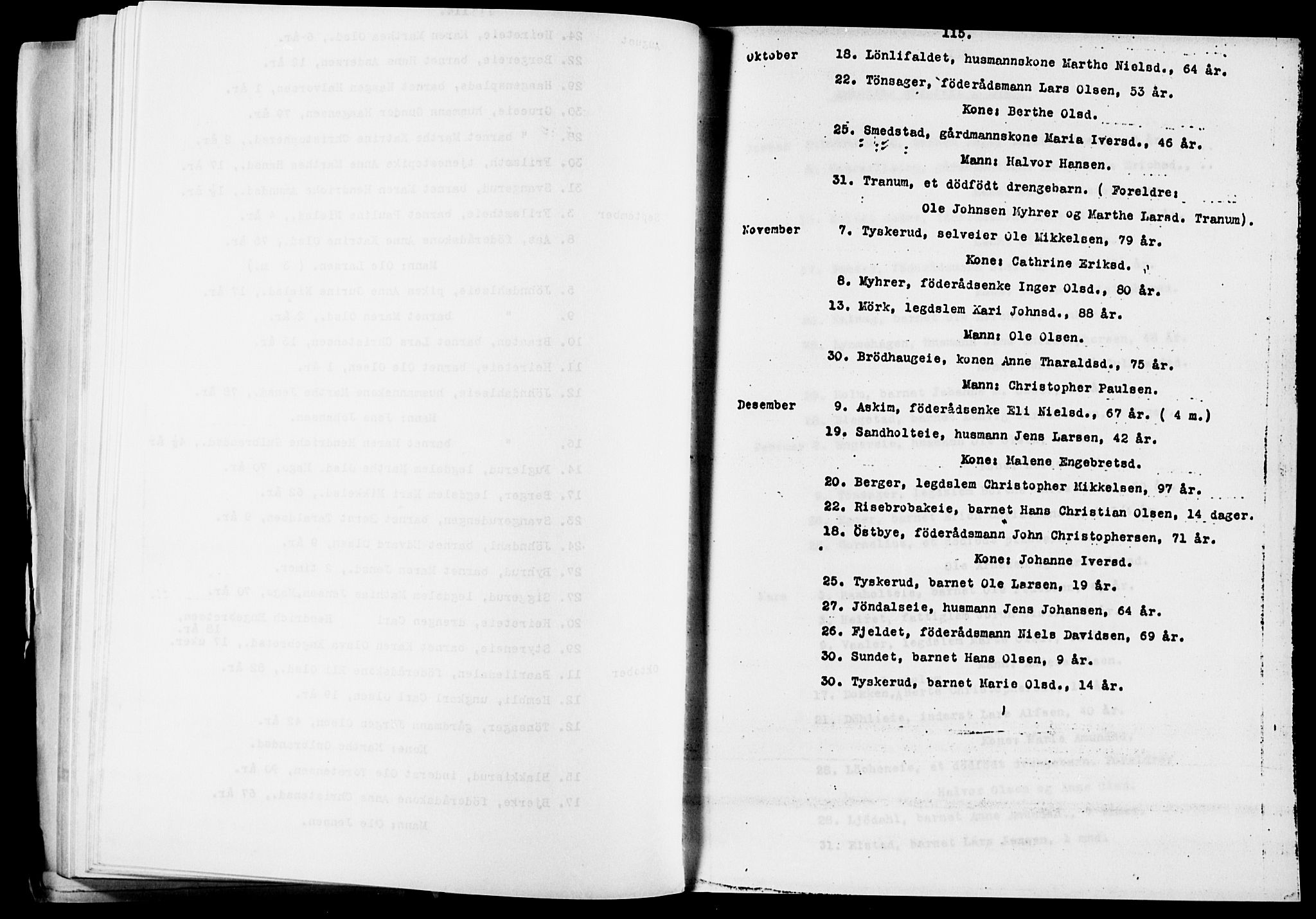 Eidsvoll prestekontor Kirkebøker, AV/SAO-A-10888/O/Oa/L0005: Annen kirkebok nr. 5, 1815-1865, s. 115
